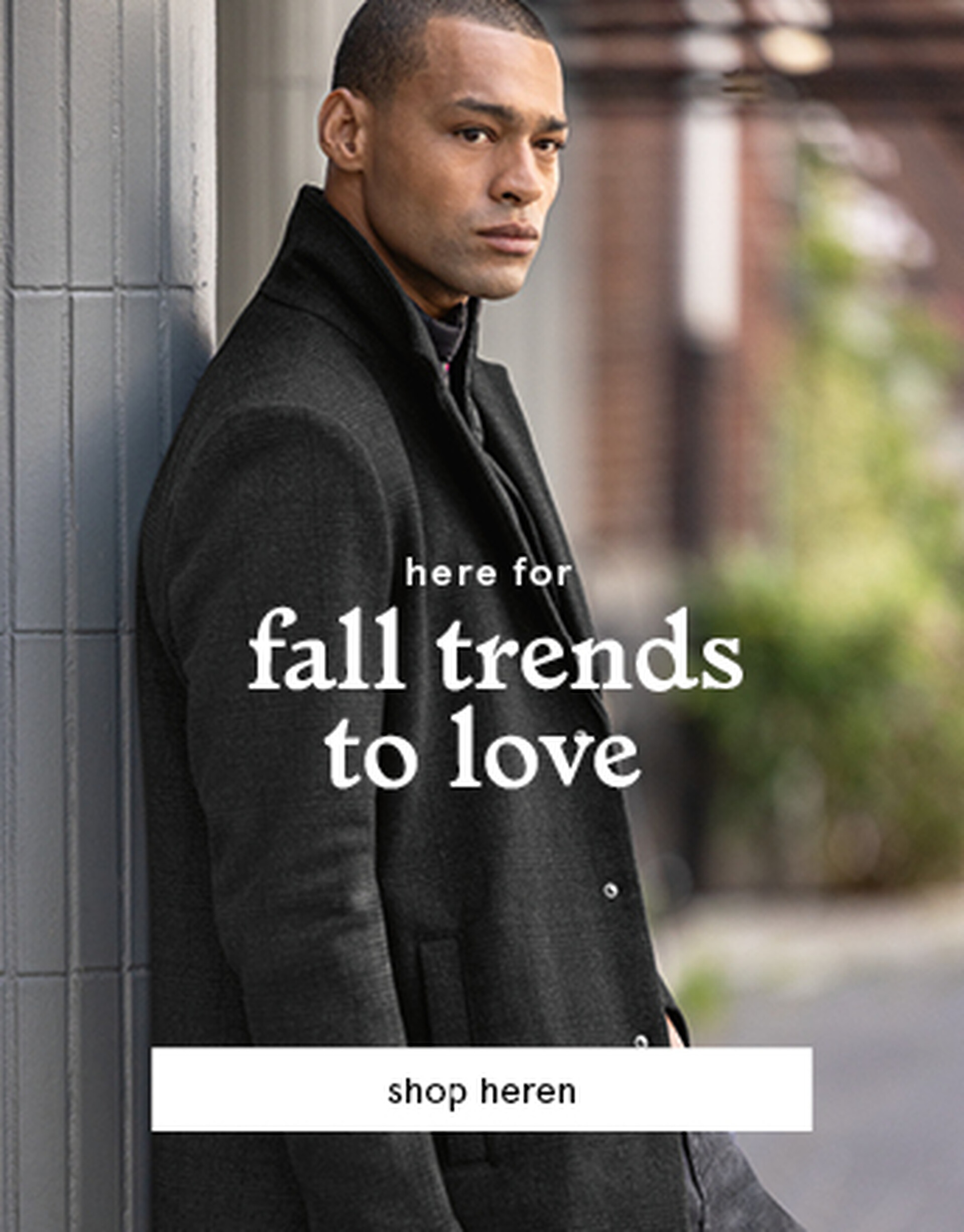 fall magazine