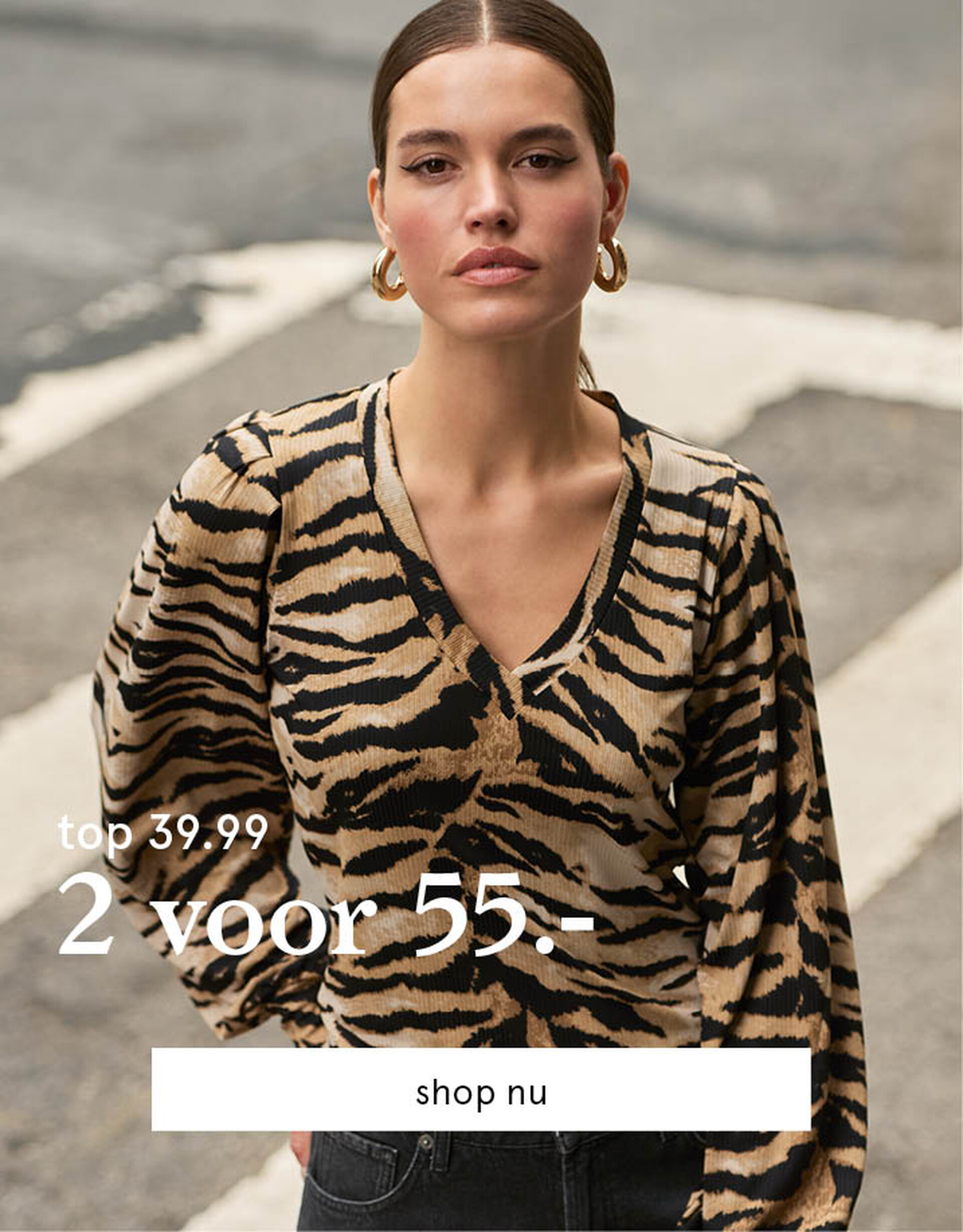 fall magazine