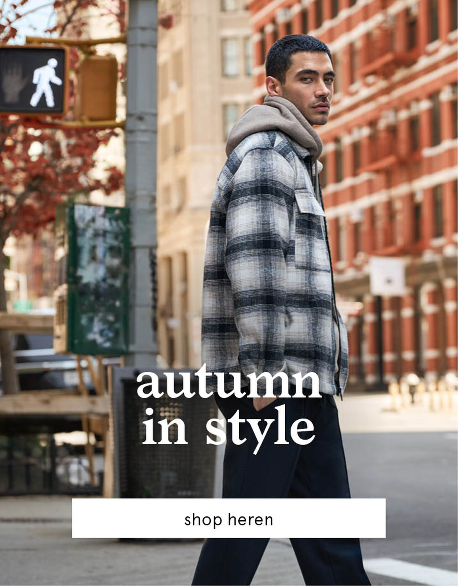 fall magazine