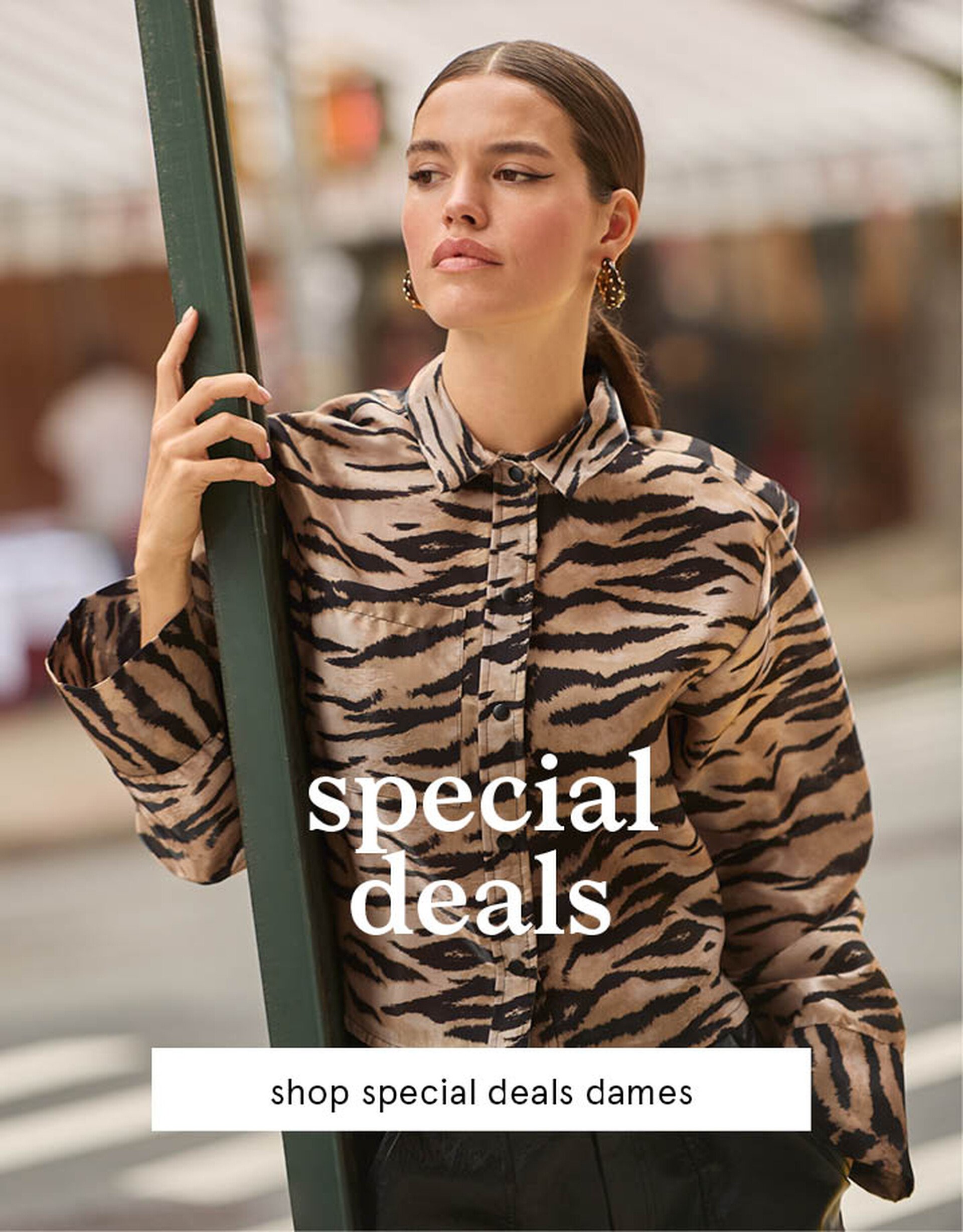 fall magazine