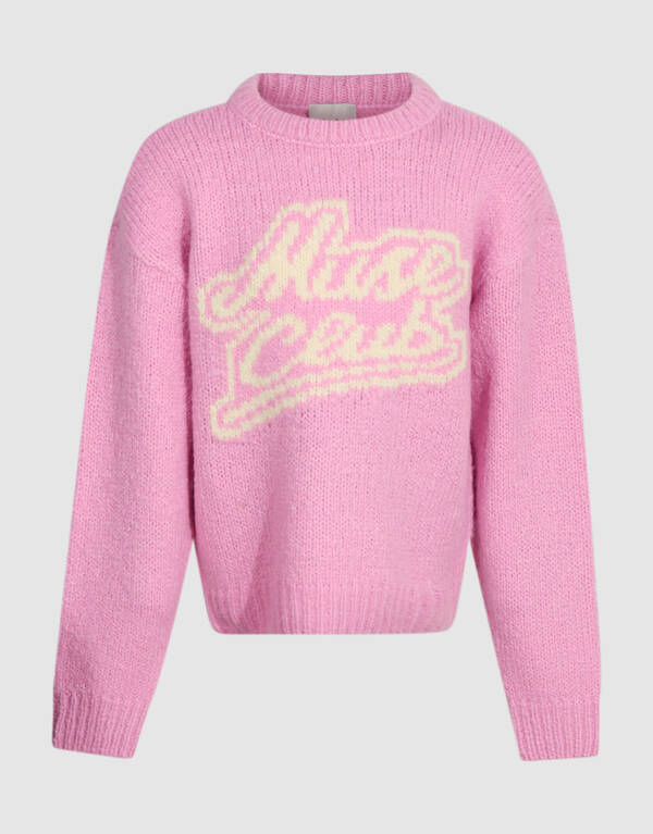 Artwork Gebreide Trui Roze SHOEBY GIRLS