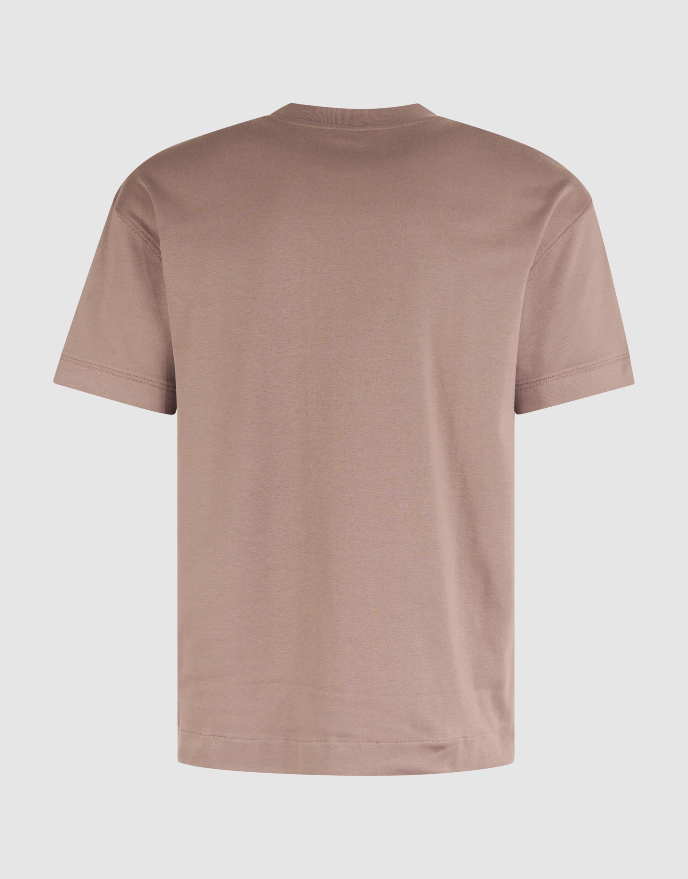 Embroidery T-shirt Lichtbruin SHOEBY MEN