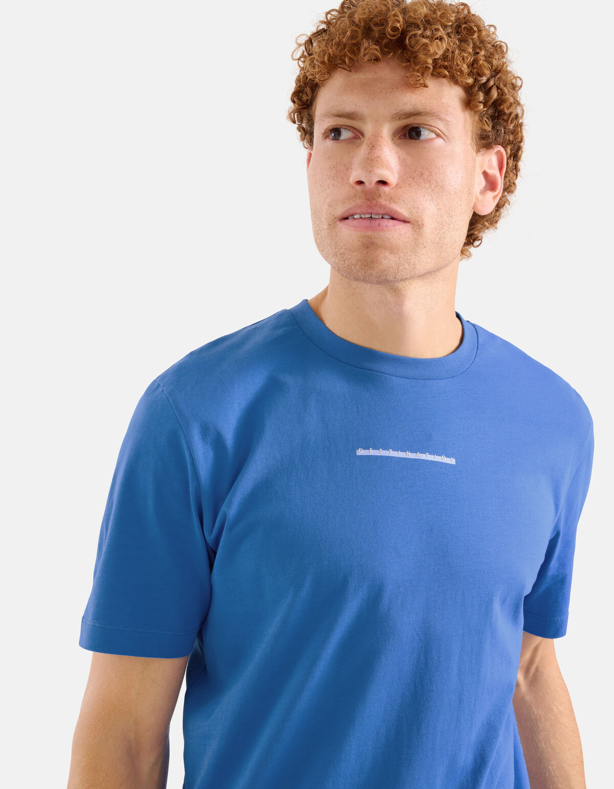 Artwork T-shirt Blauw SHOEBY MEN