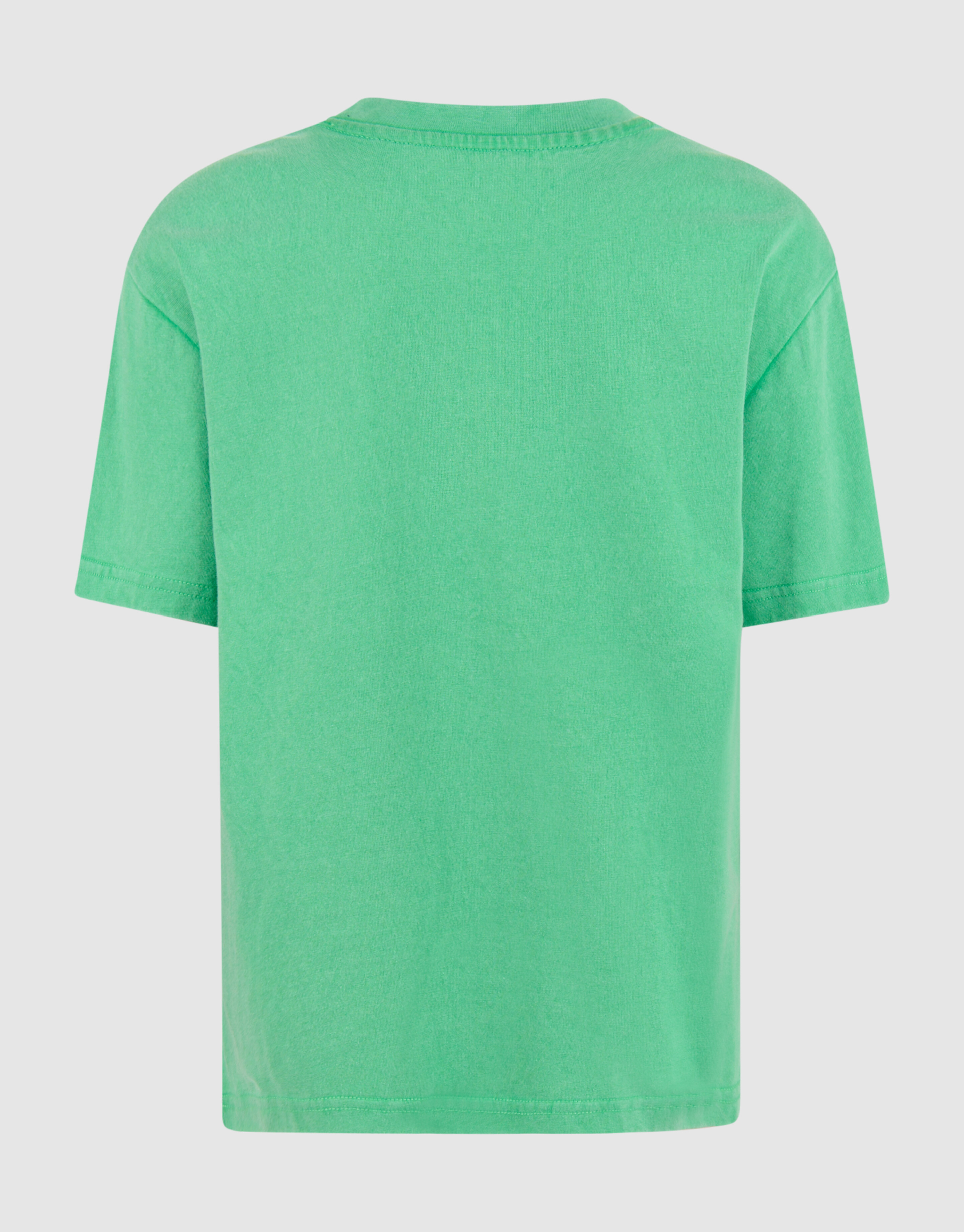Artwork T-shirt Groen SHOEBY GIRLS