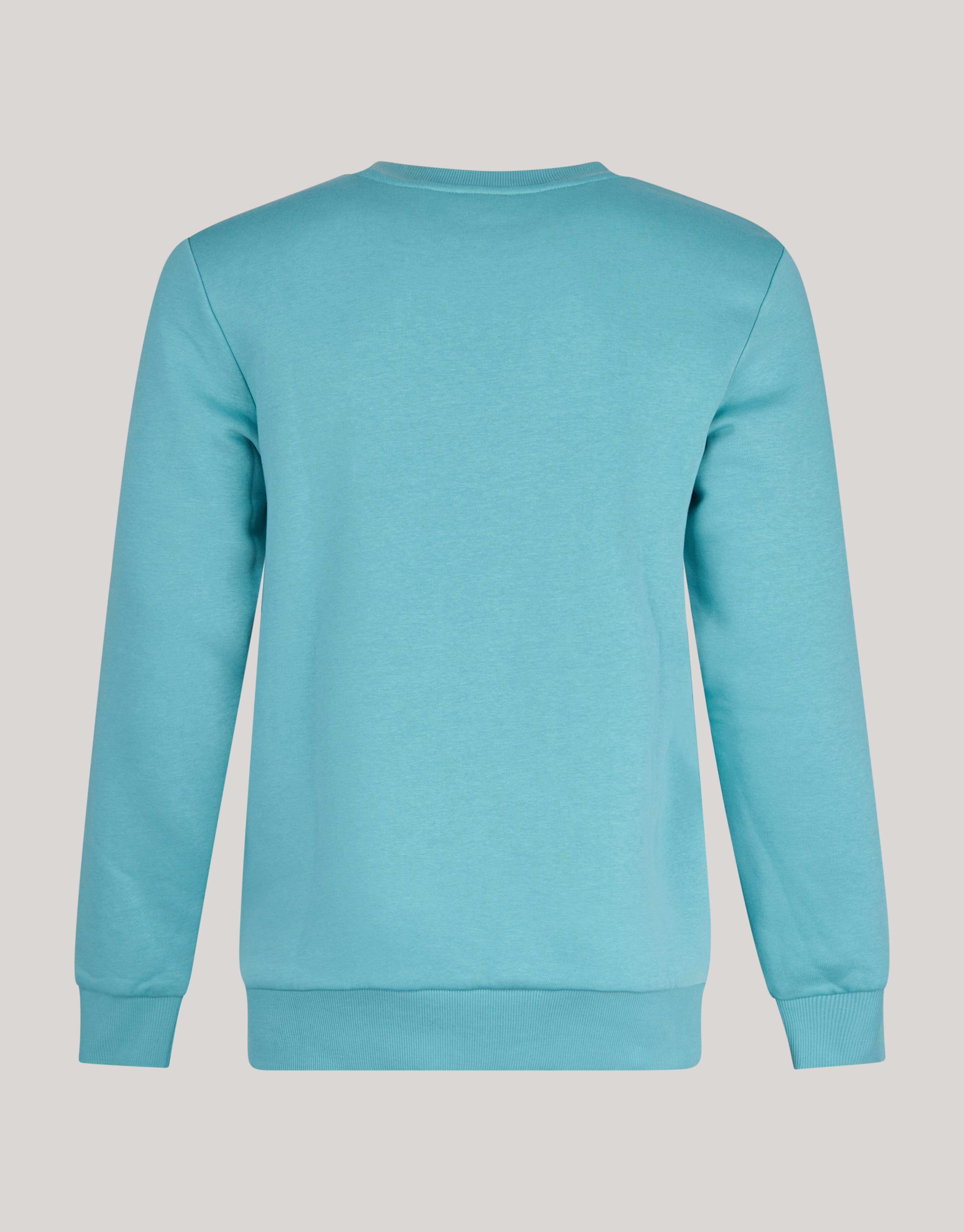 Badge Sweater Lichtgroen SHOEBY MEN