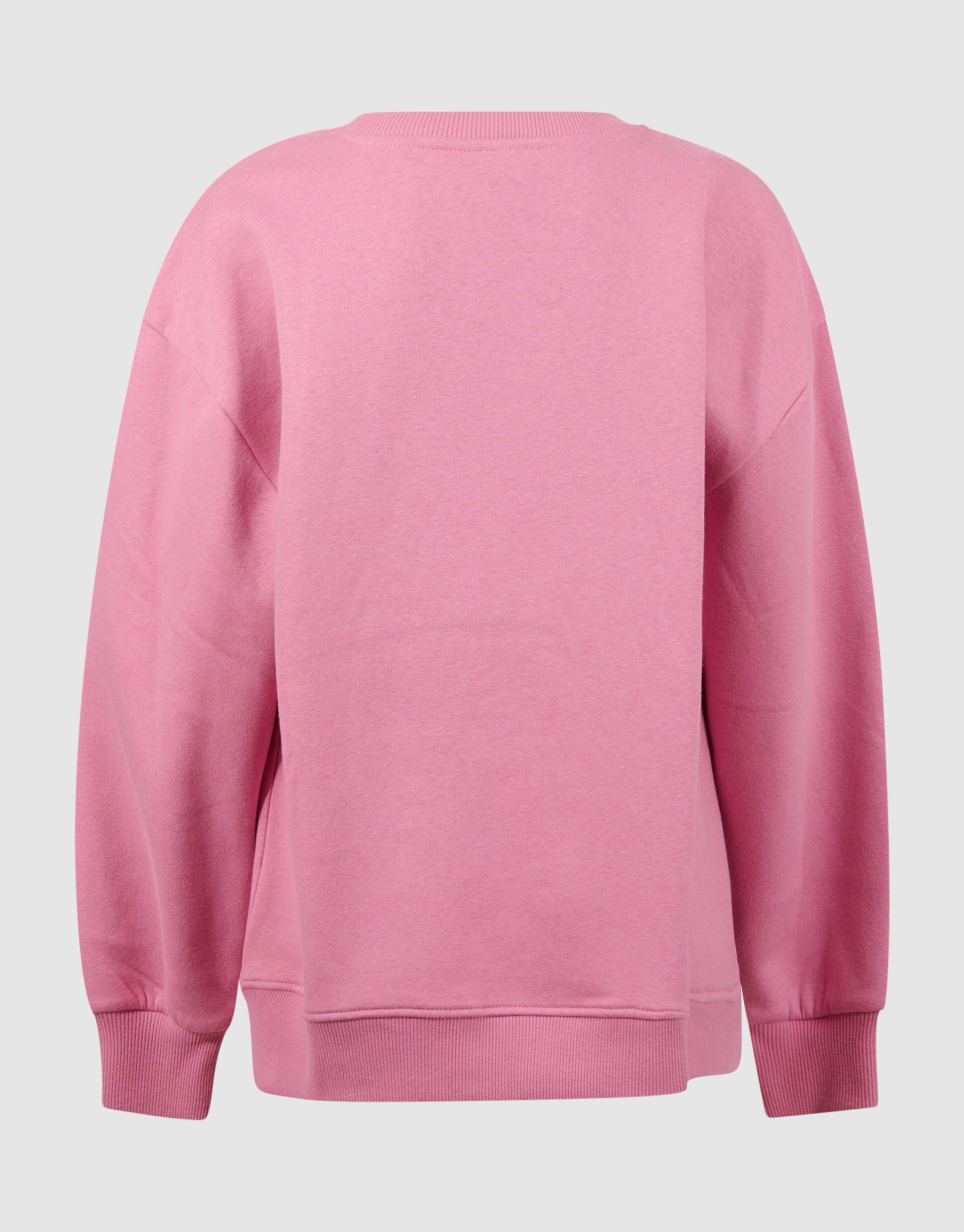 Inspire Artwork Sweater Roze SHOEBY GIRLS