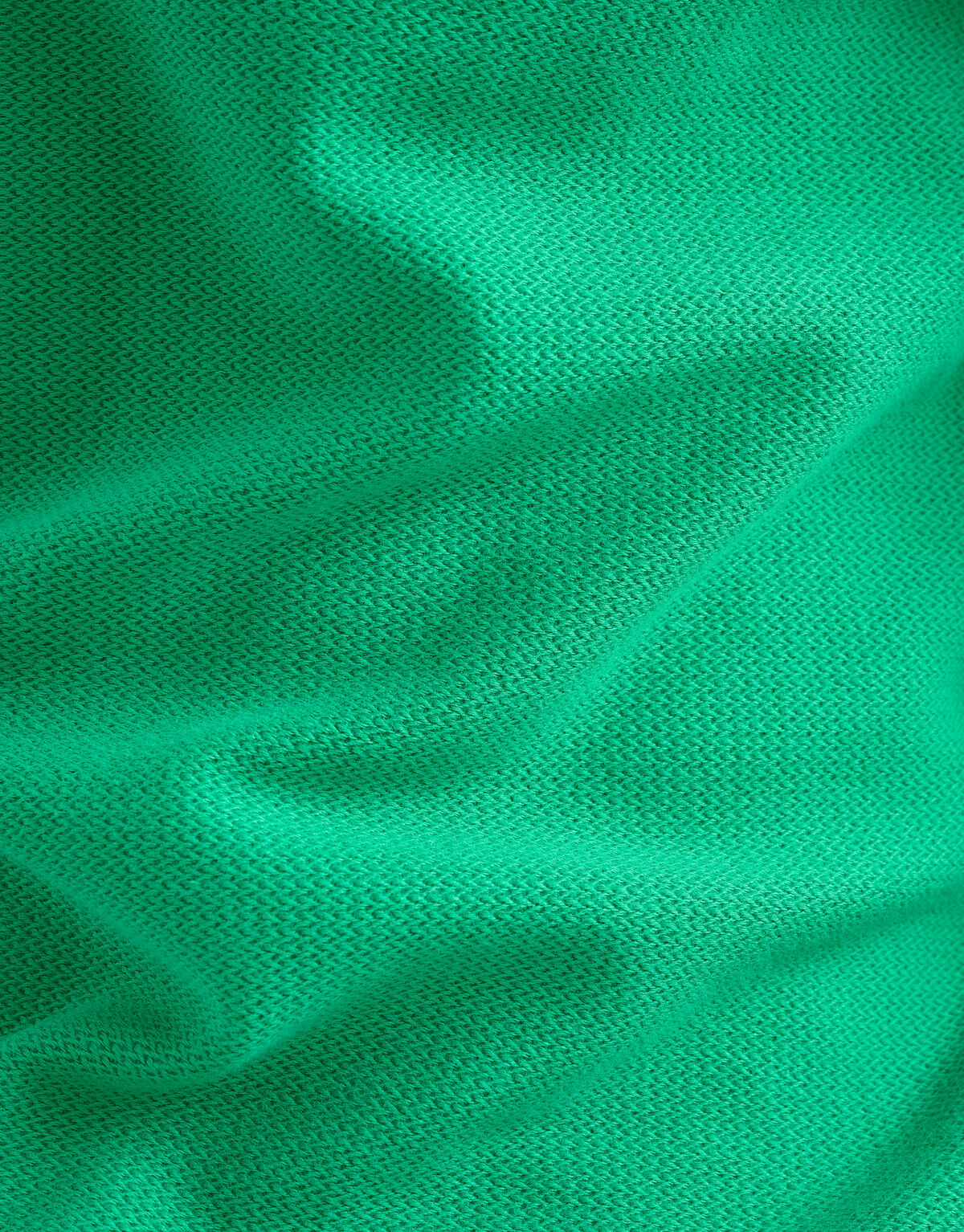 Structuur T-shirt Groen SHOEBY MEN