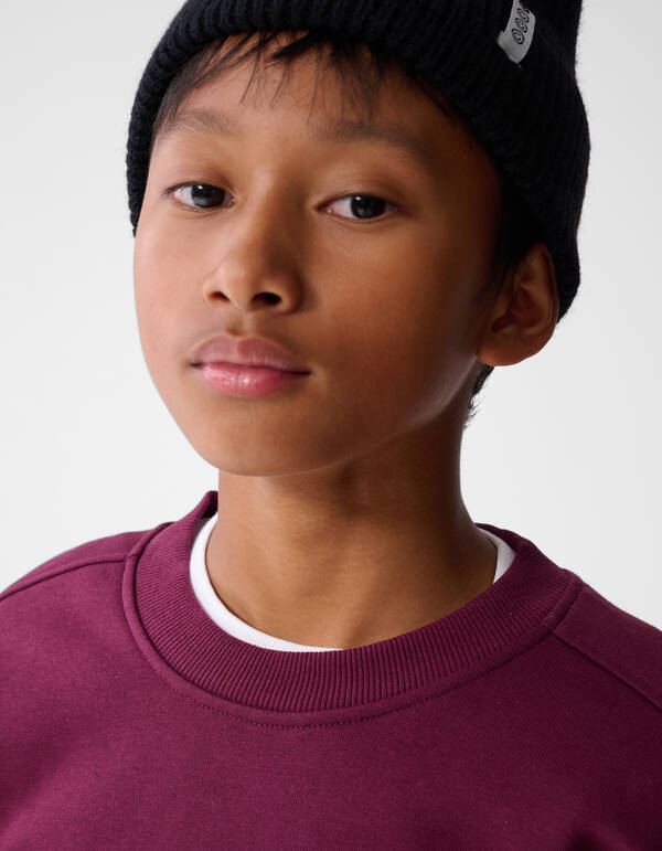 Sporty Sweater Donkerpaars SHOEBY BOYS
