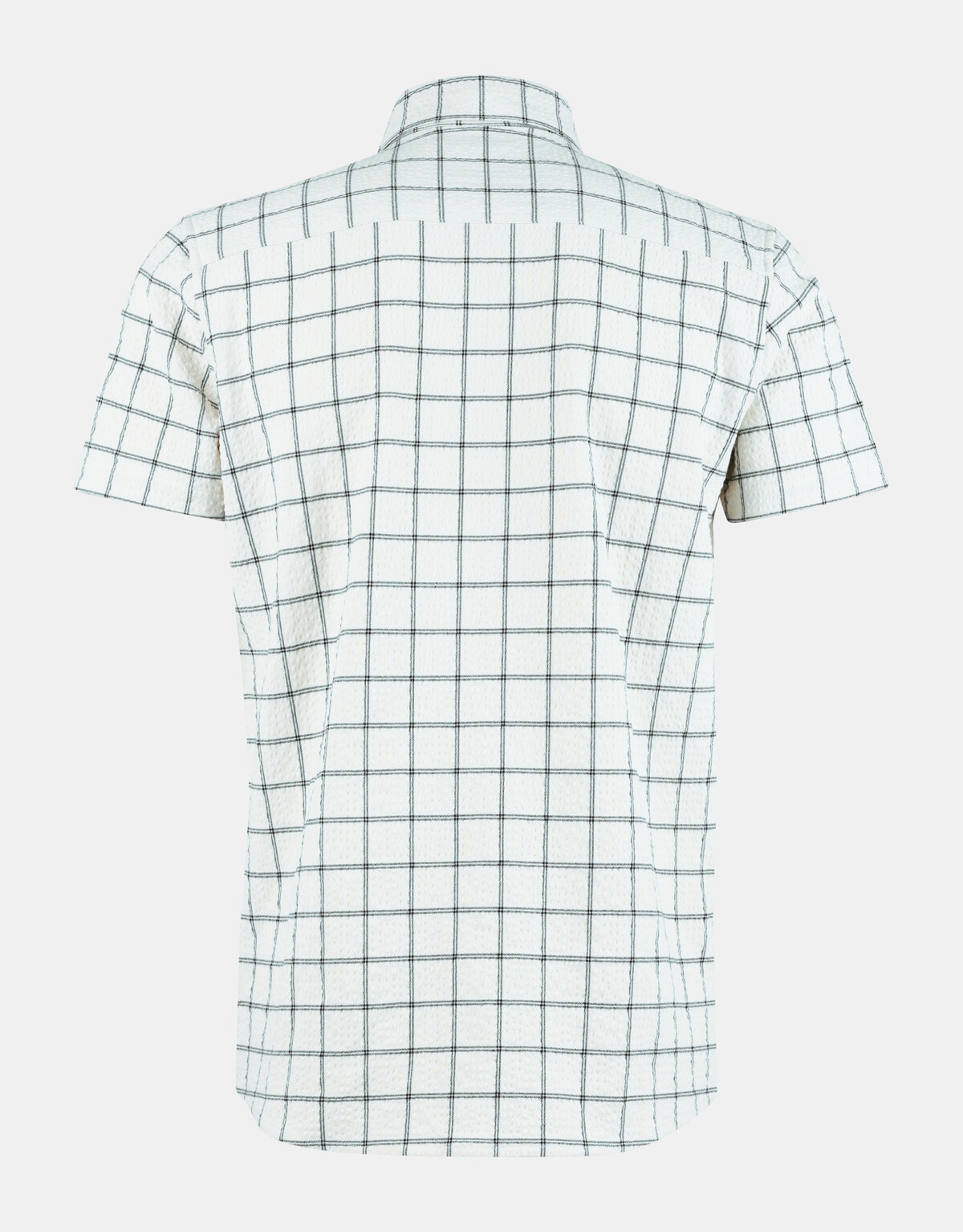 Check Shirt REFILL