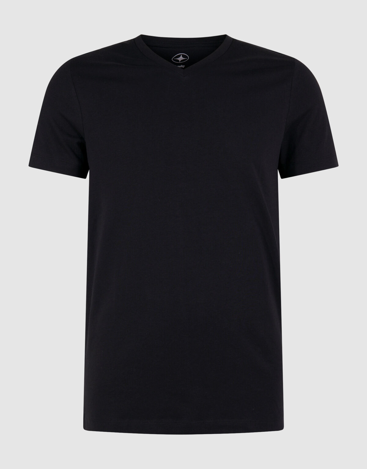 Basis T-shirt Zwart SHOEBY MEN