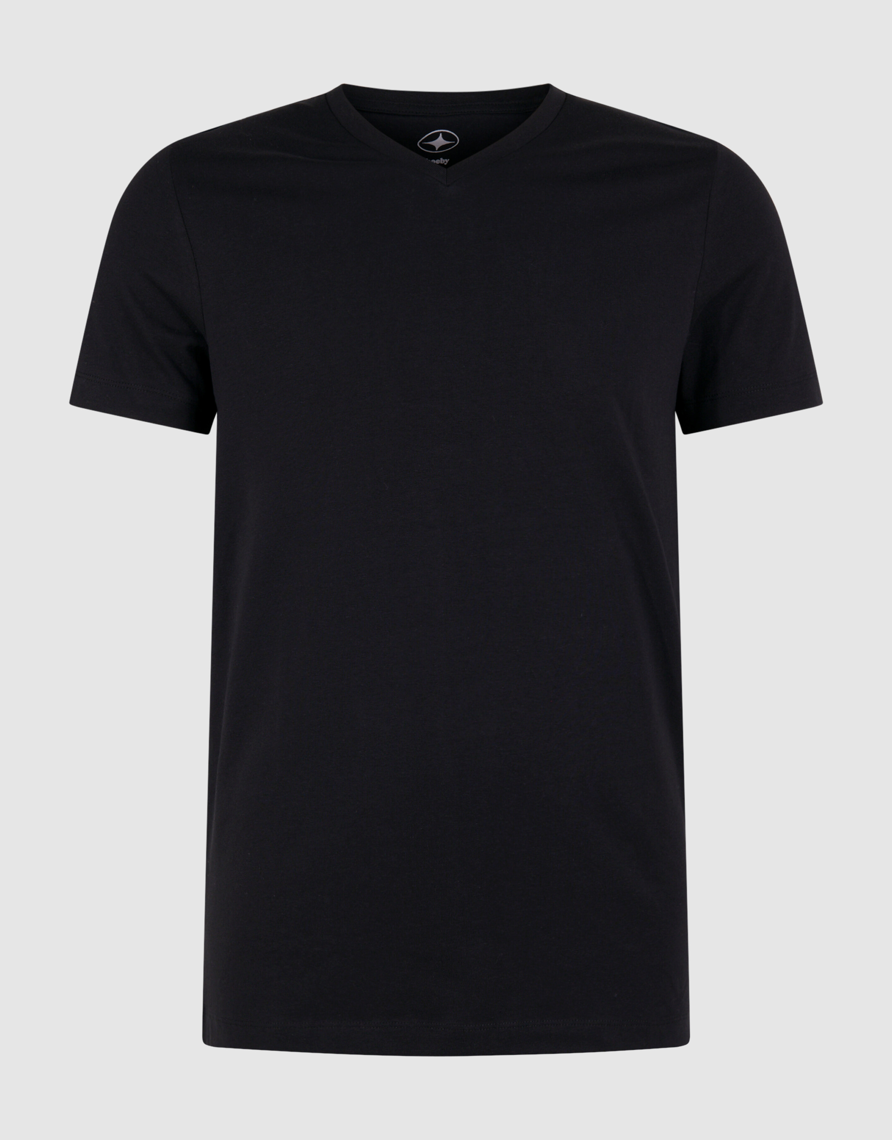 Basis T-shirt Zwart SHOEBY MEN