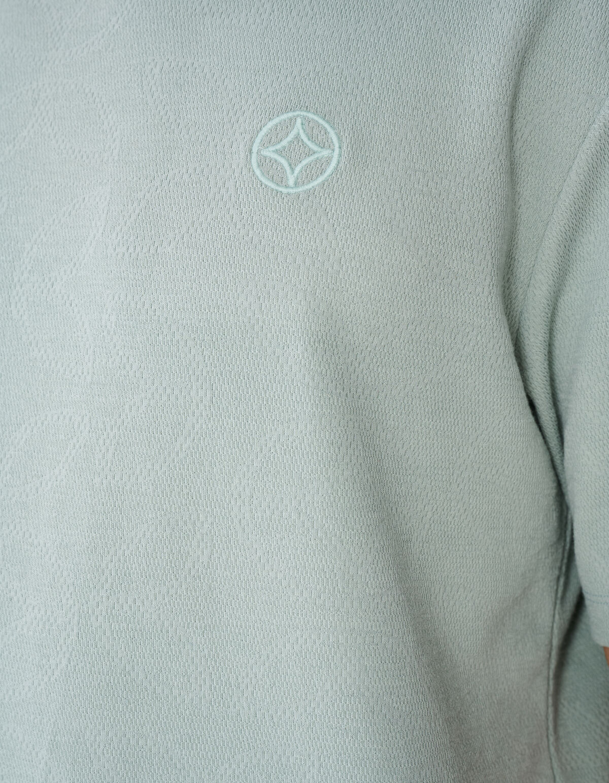 All Over Structuur T-shirt Lichtgroen SHOEBY MEN