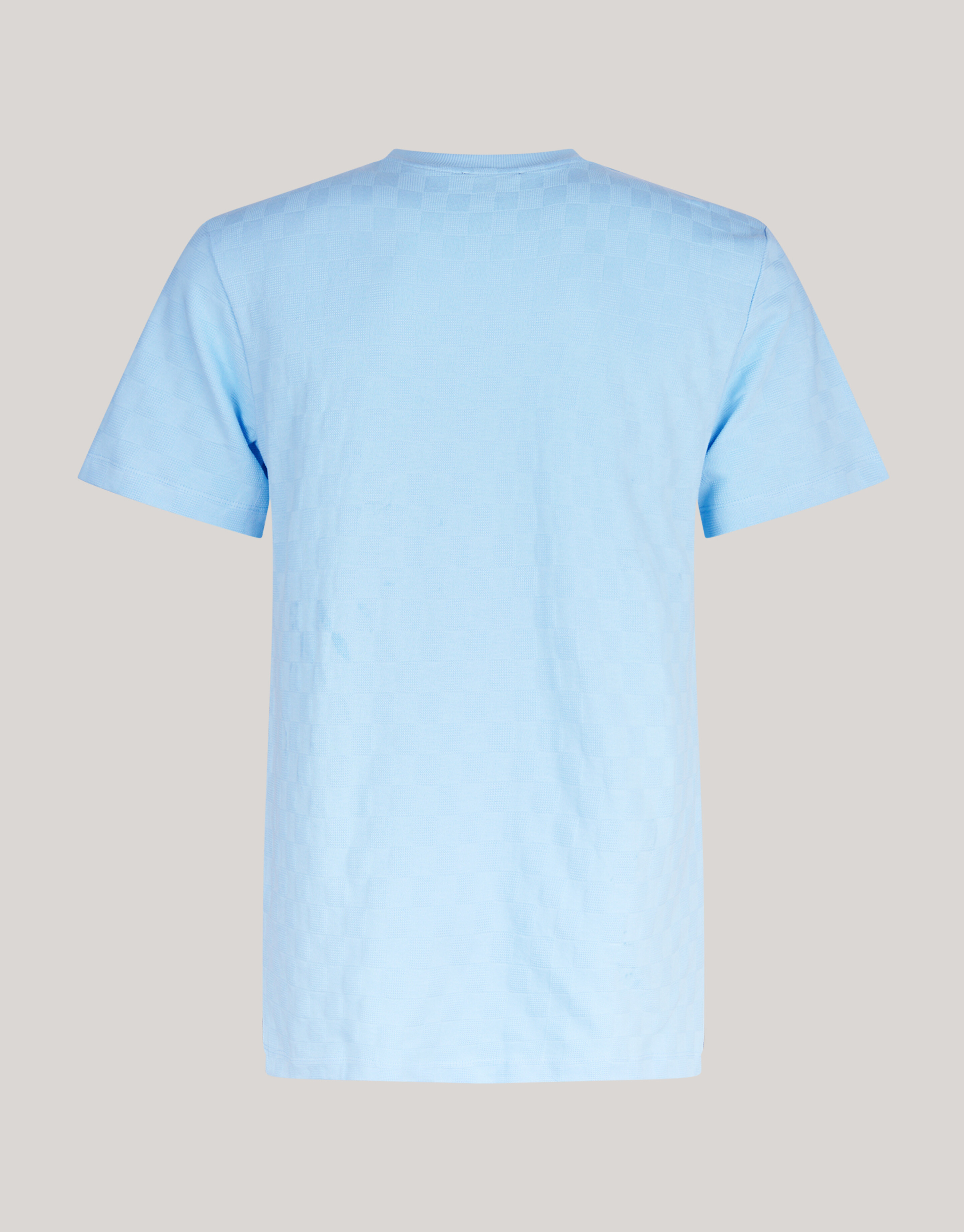 Block Structuur T-shirt Lichtblauw SHOEBY MEN