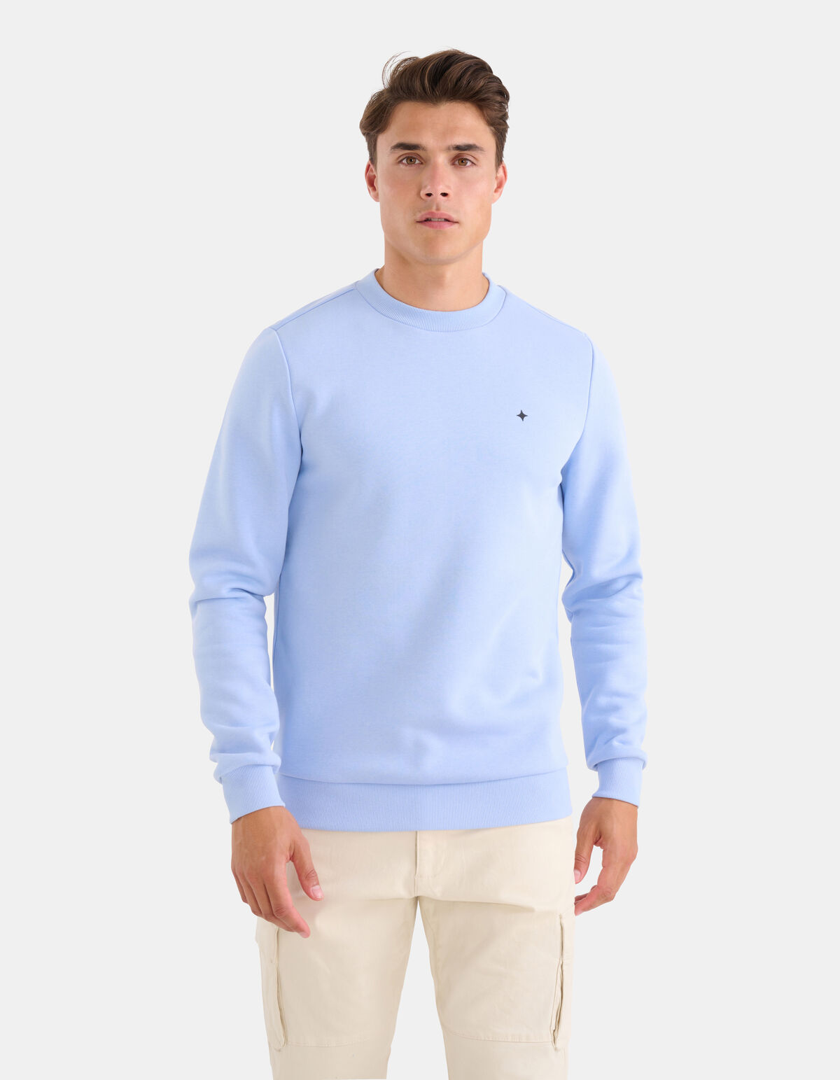 Sparkle Sweater Lichtblauw SHOEBY MEN