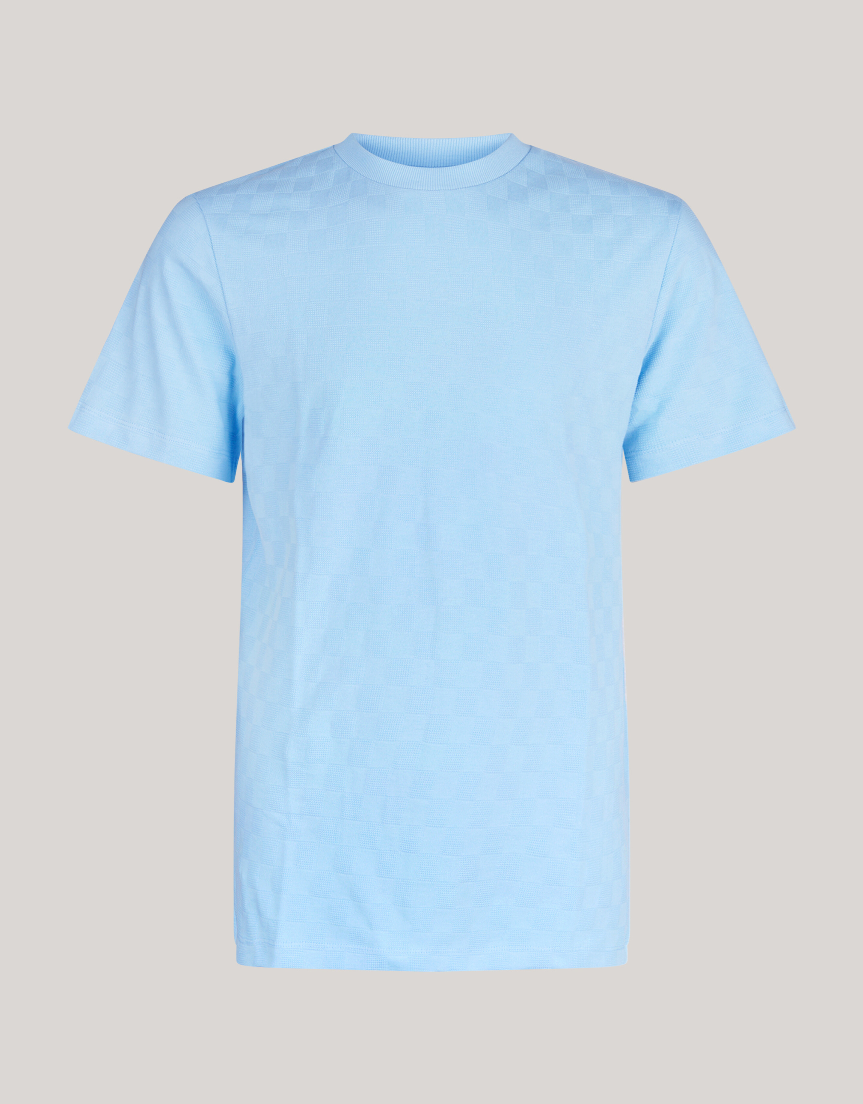 Block Structuur T-shirt Lichtblauw SHOEBY MEN