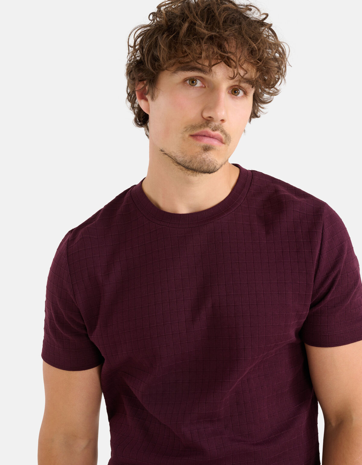 Structuur T-shirt Bordeaux SHOEBY MEN