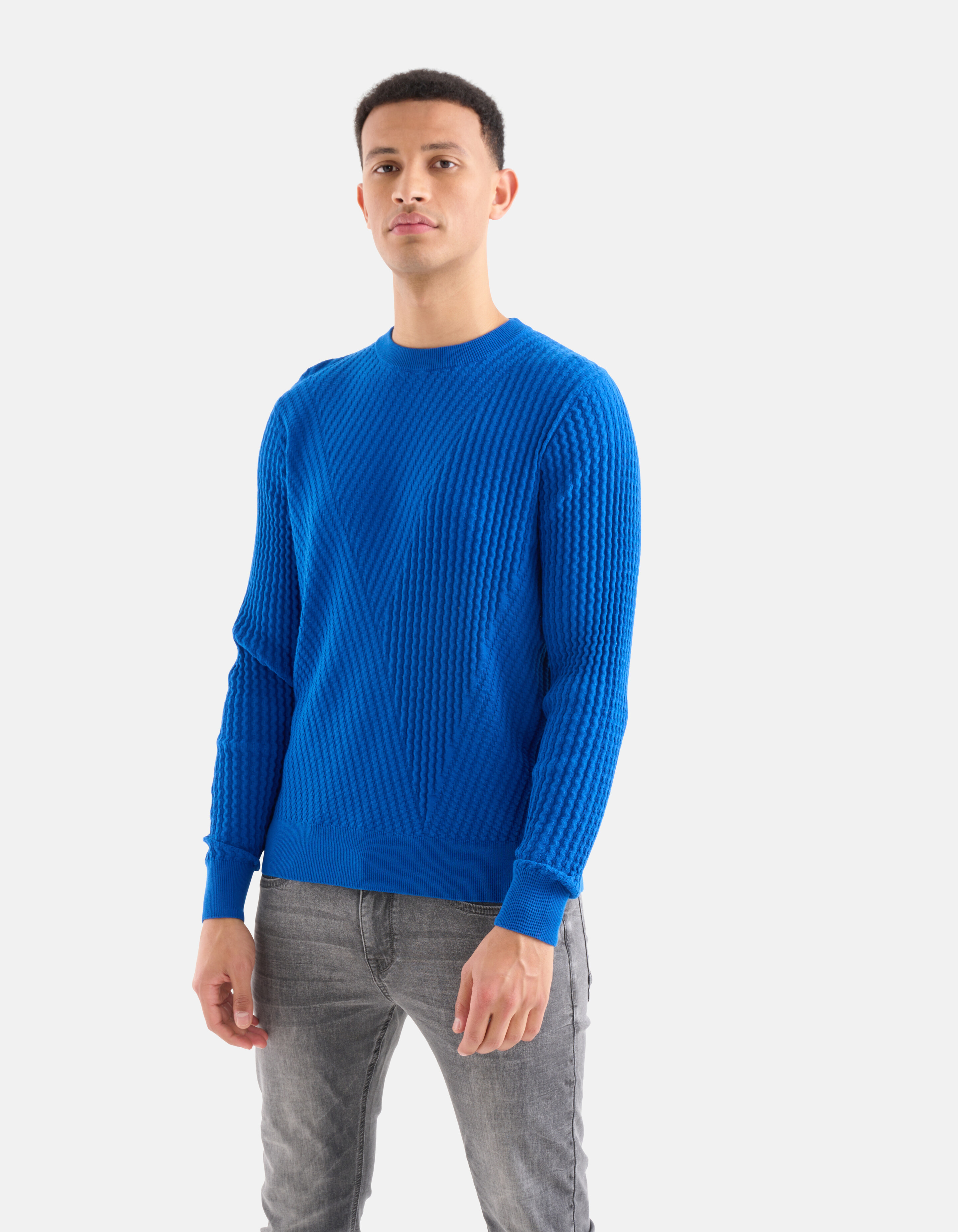 Gestreepte Trui Blauw SHOEBY MEN