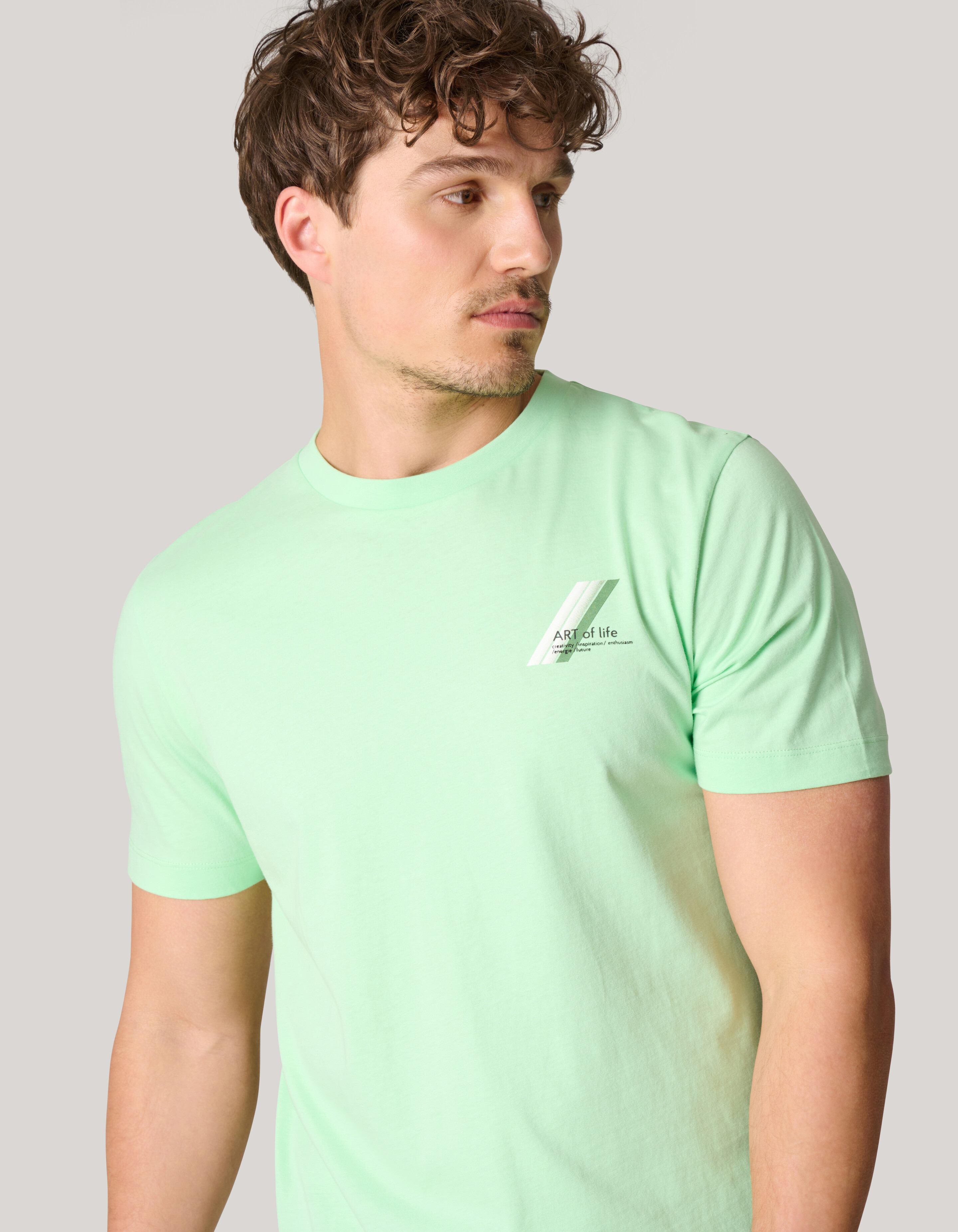 Artwork T-shirt Lichtgroen SHOEBY MEN