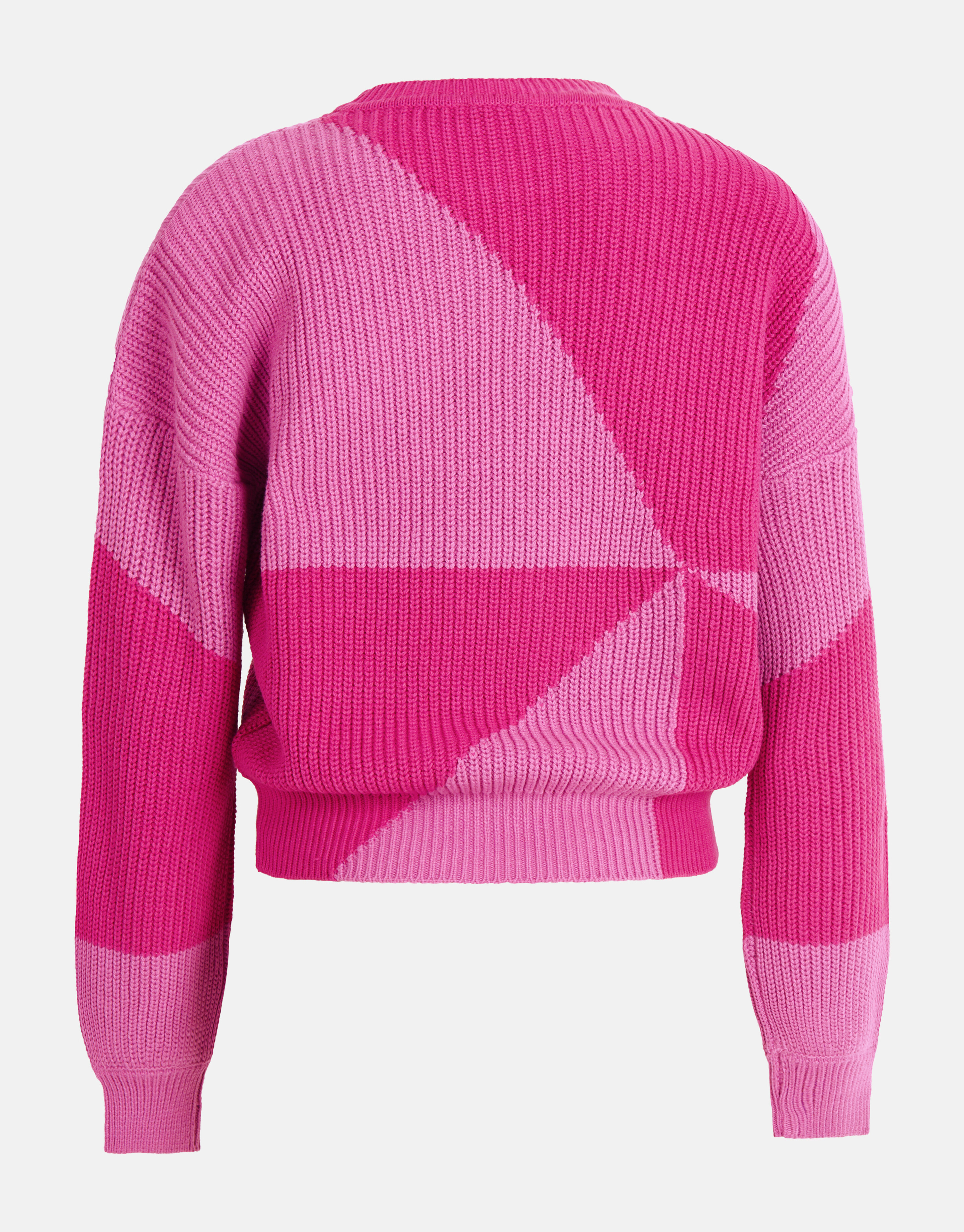 Colorblock Trui Roze SHOEBY WOMEN