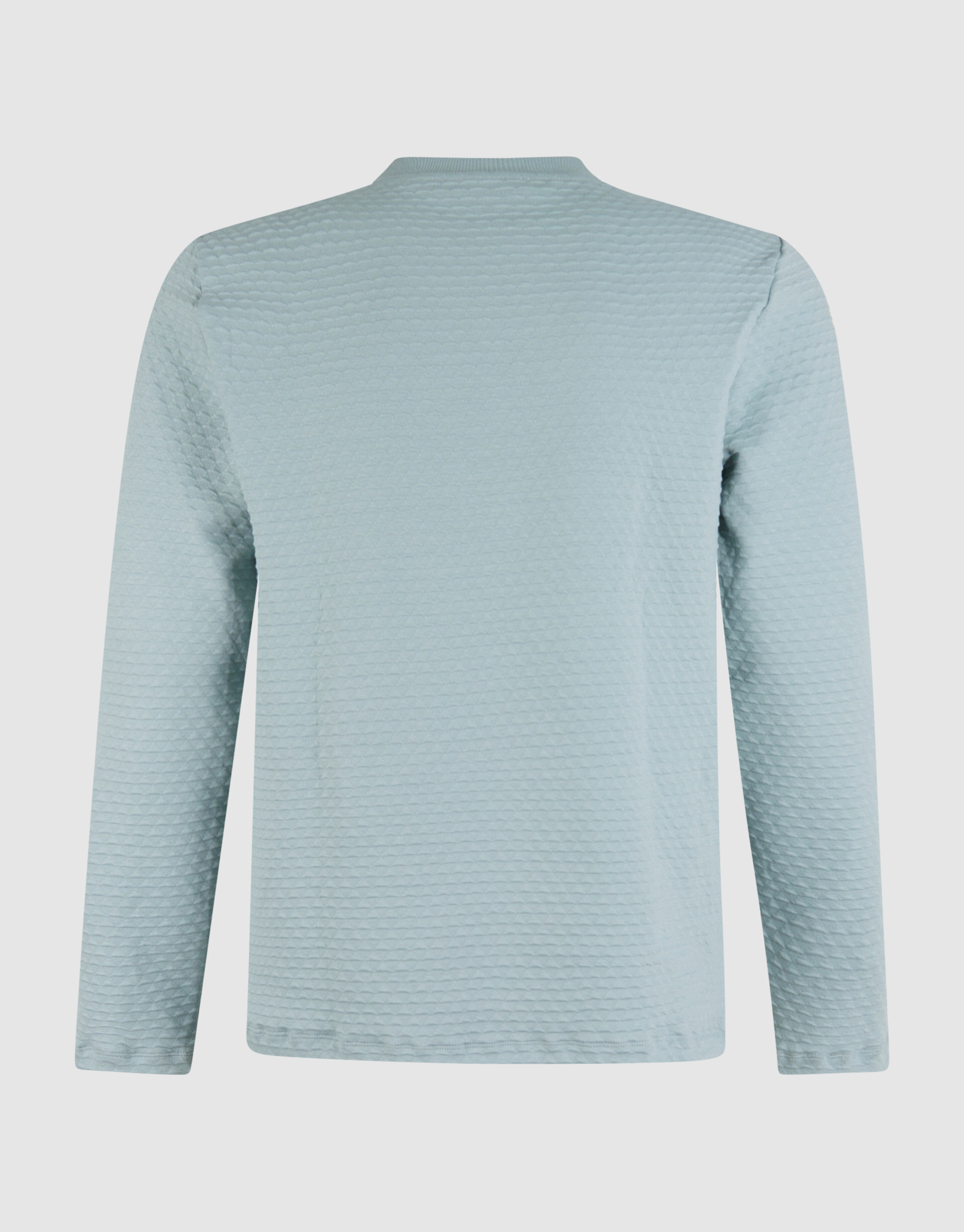 Structuur Longsleeve Lichtgroen SHOEBY MEN
