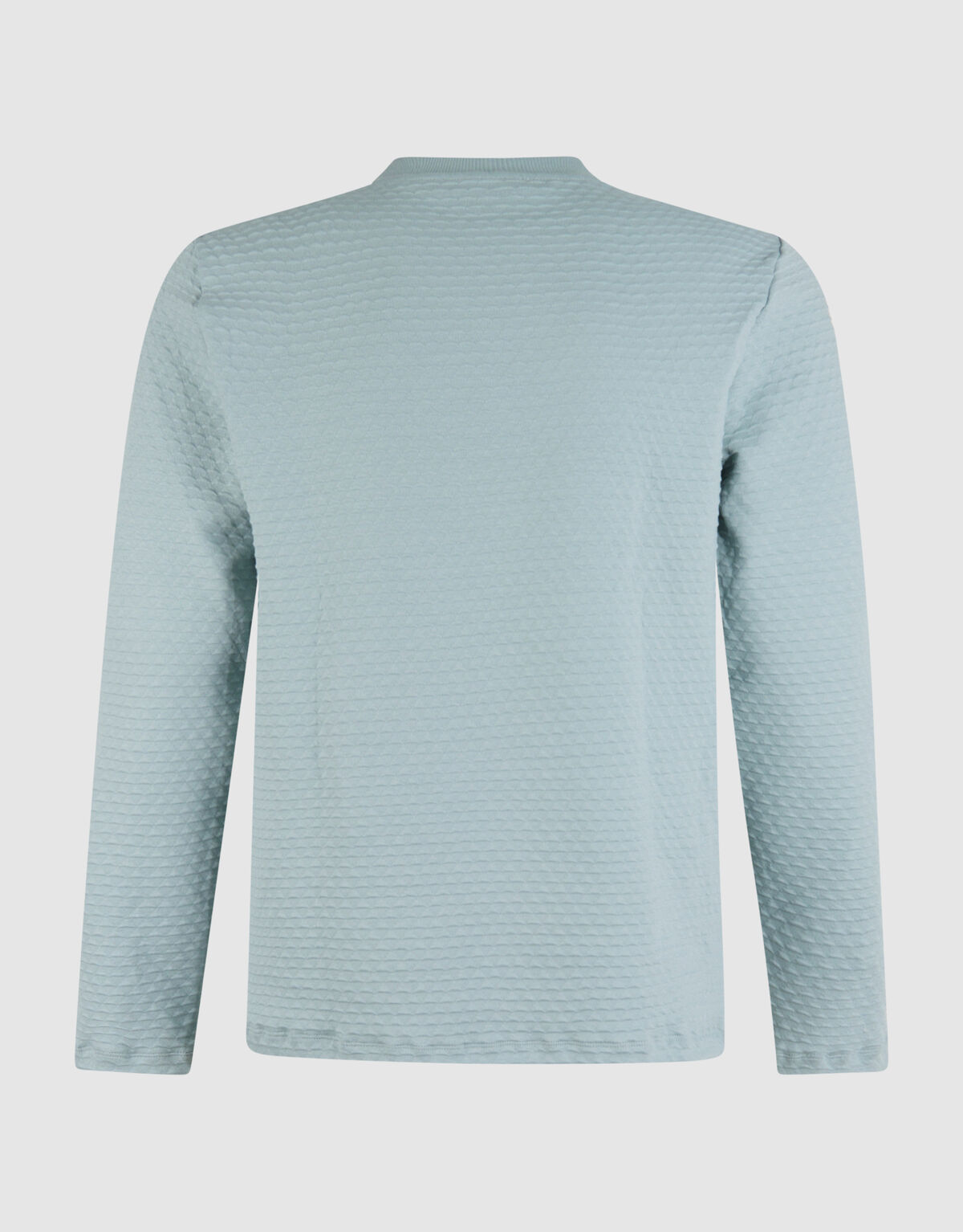 Structuur Longsleeve Lichtgroen SHOEBY MEN