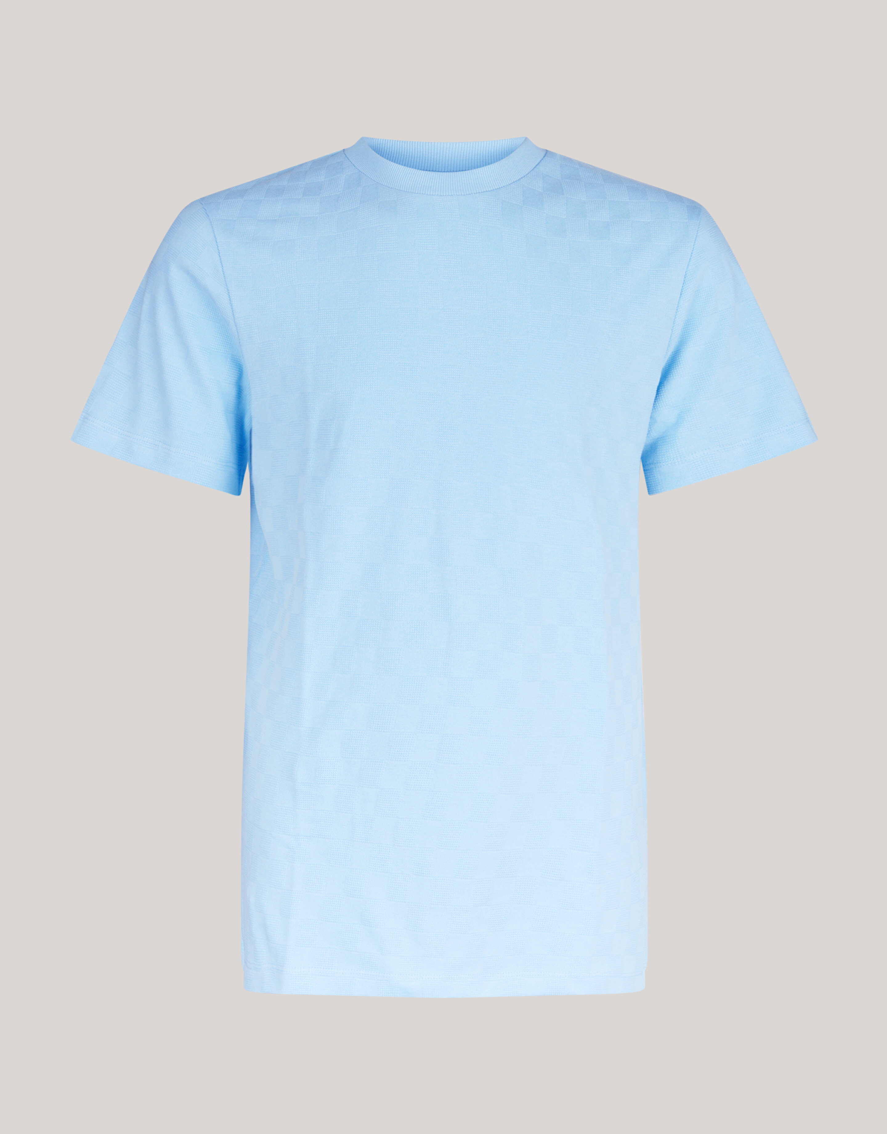 Block Structuur T-shirt Lichtblauw SHOEBY MEN