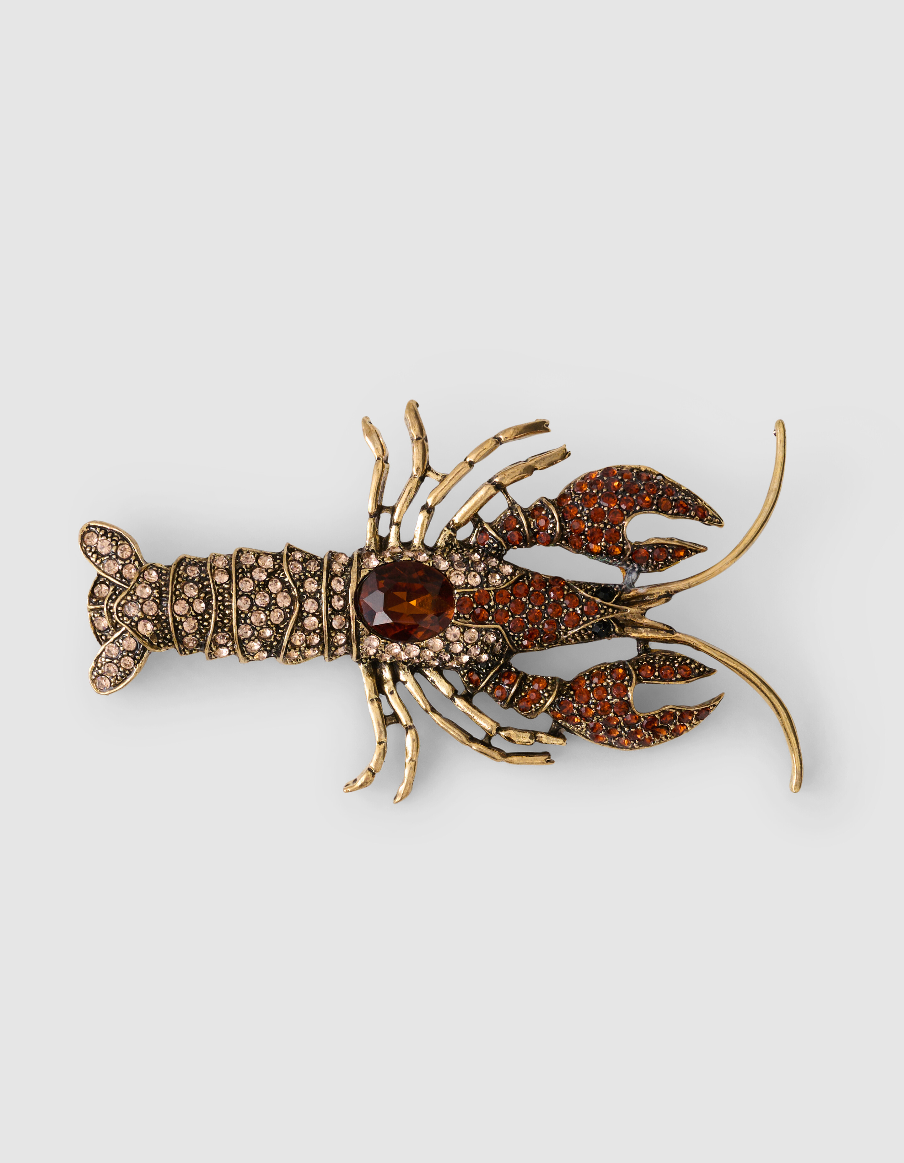 Lobster Strass Broche Bruin SHOEBY ACCESSOIRES