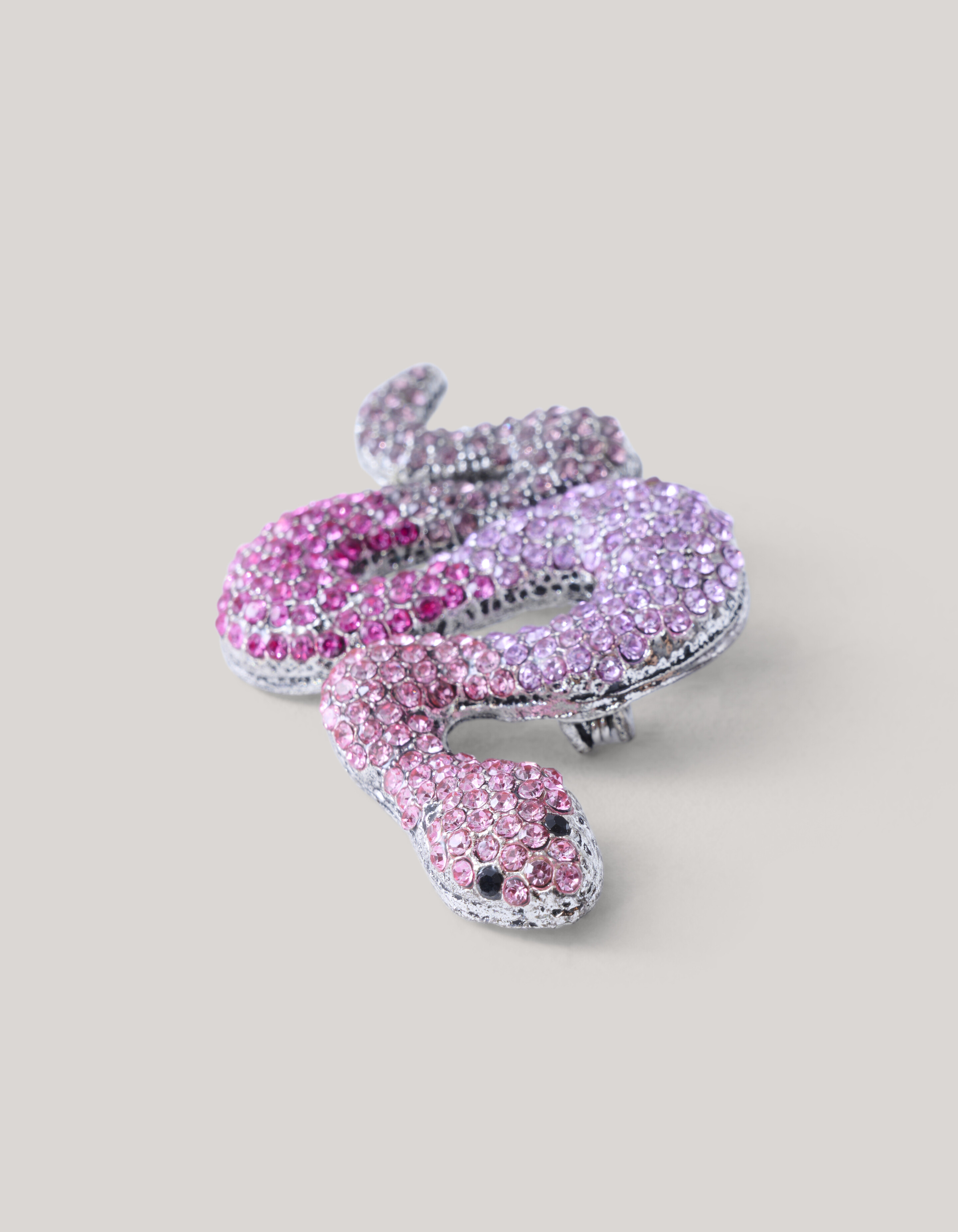 Strass Slangen Broche Zilver SHOEBY ACCESSOIRES