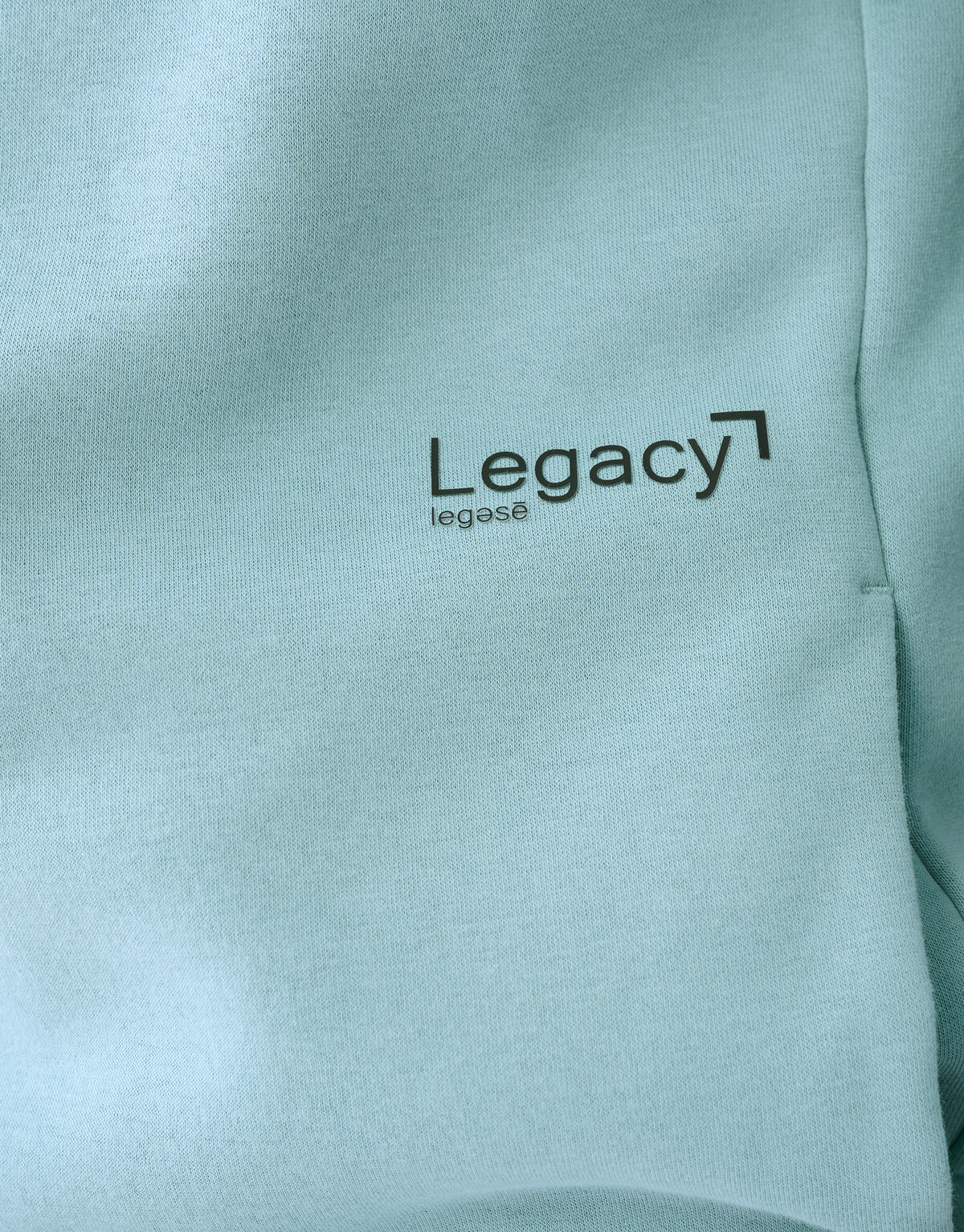 Basis Hoodie Lichtgroen SHOEBY MEN