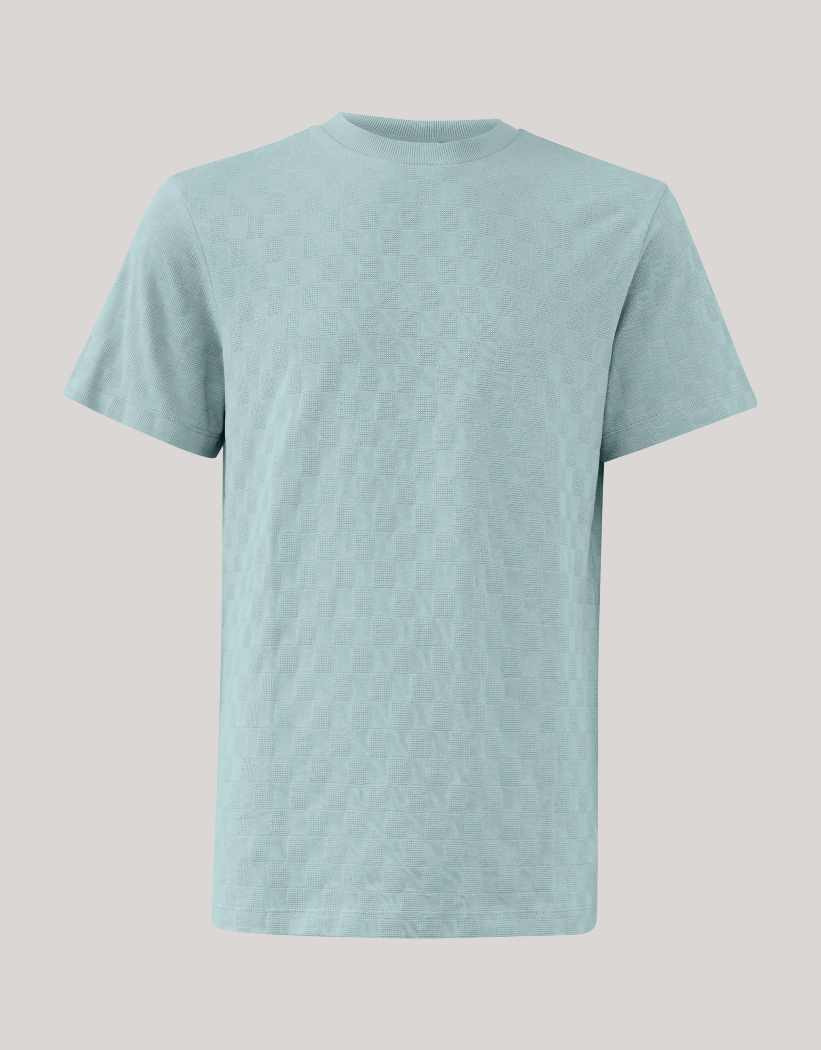 Block Structuur T-shirt Lichtgrijs SHOEBY MEN