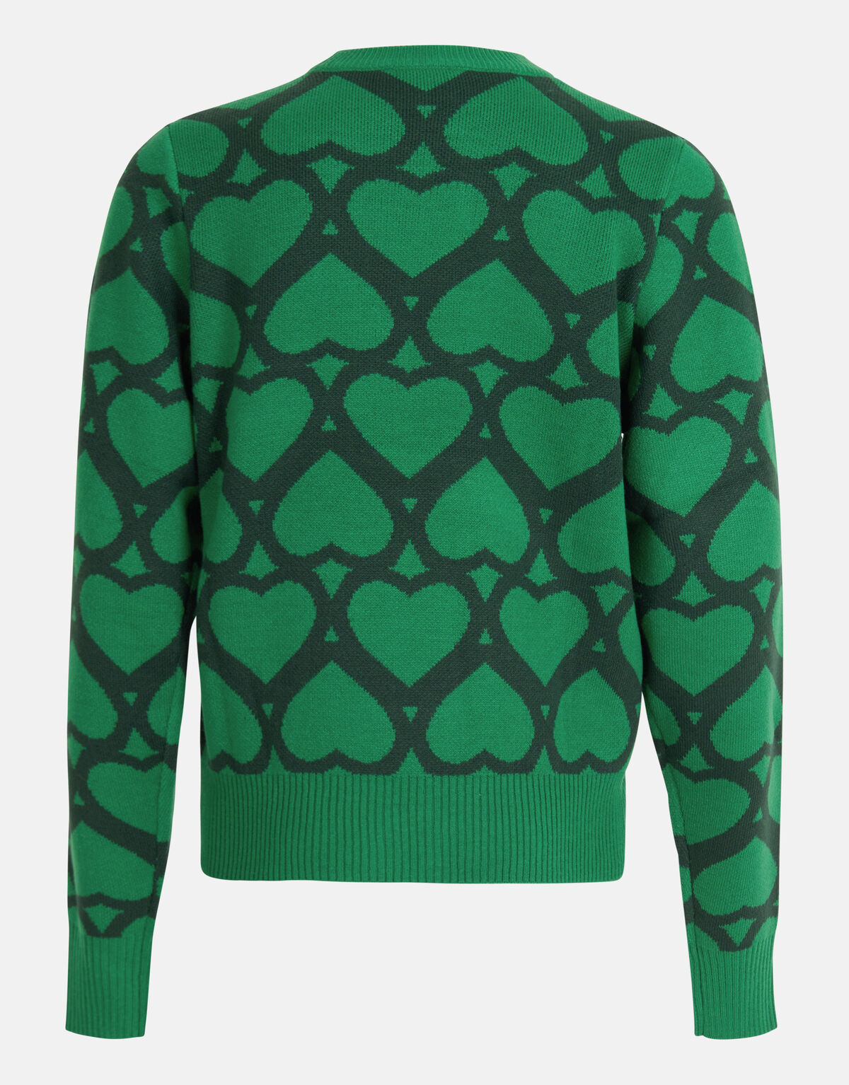 Printed Jacquard Trui Groen SHOEBY WOMEN