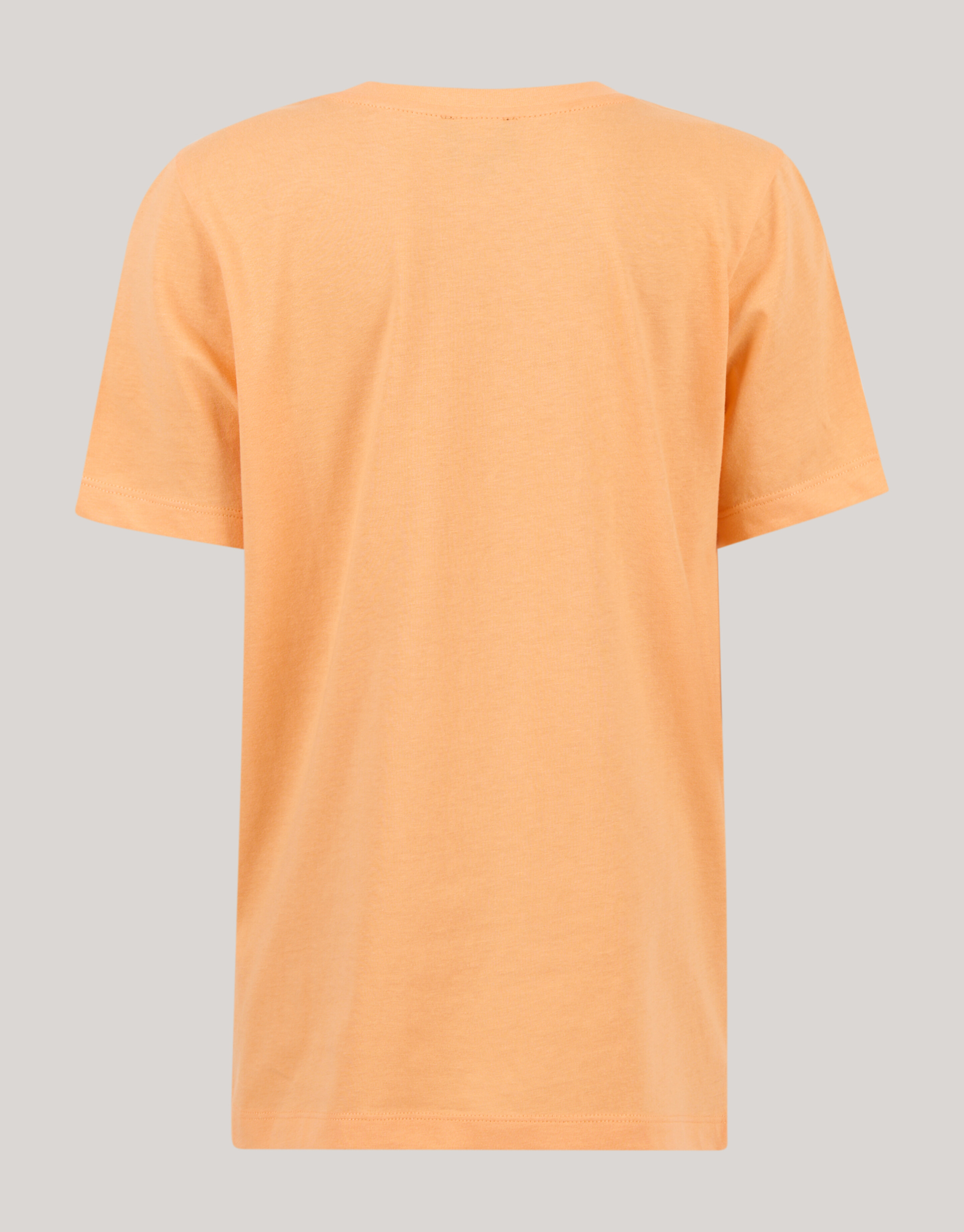 Artwork T-shirt Oranje SHOEBY BOYS