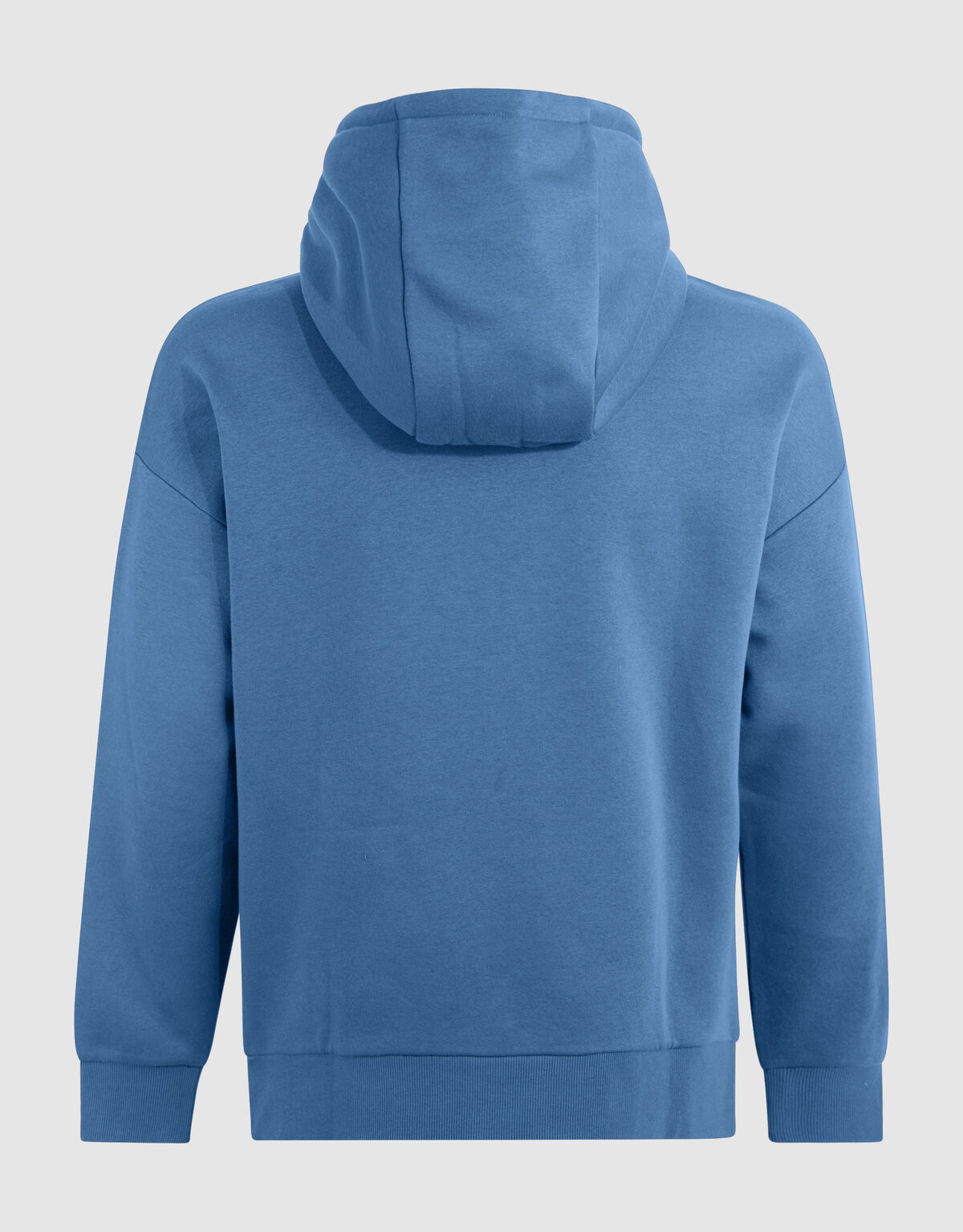 Label Sweat Hoodie Blauw SHOEBY MEN