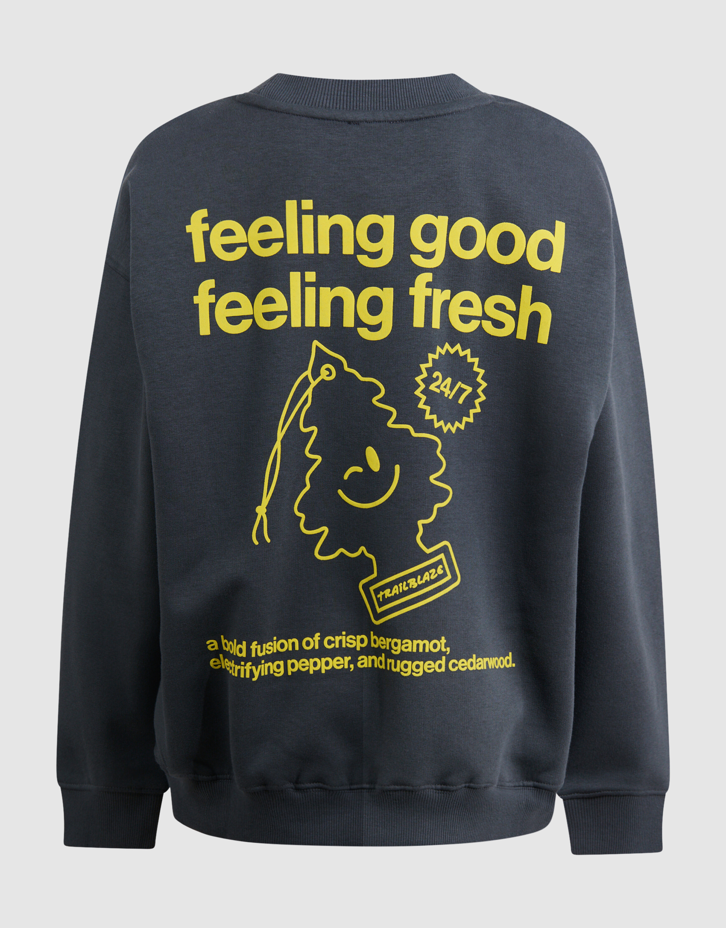 Fresh Artwork Sweater Grijs SHOEBY BOYS