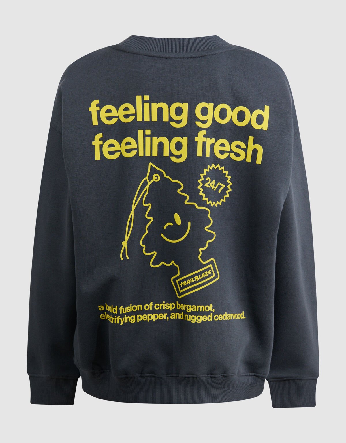 Fresh Artwork Sweater Grijs SHOEBY BOYS