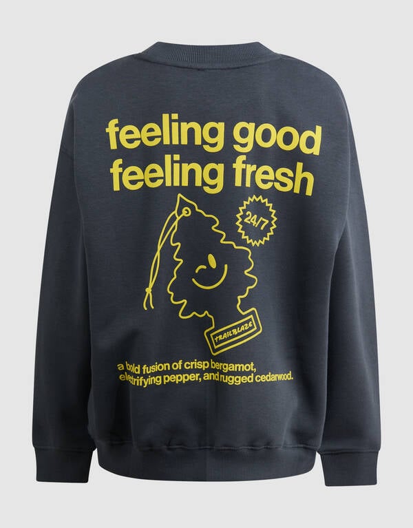 Fresh Artwork Sweater Grijs SHOEBY BOYS