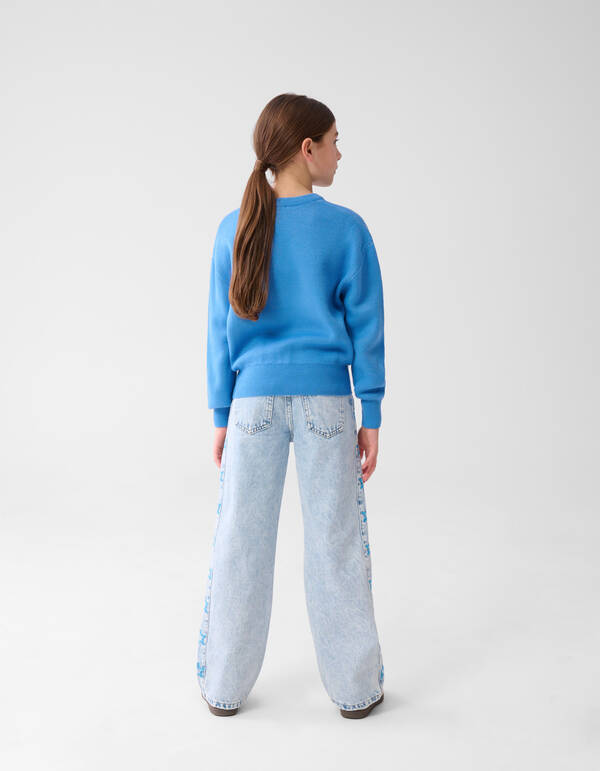 Artwork Trui Blauw SHOEBY GIRLS