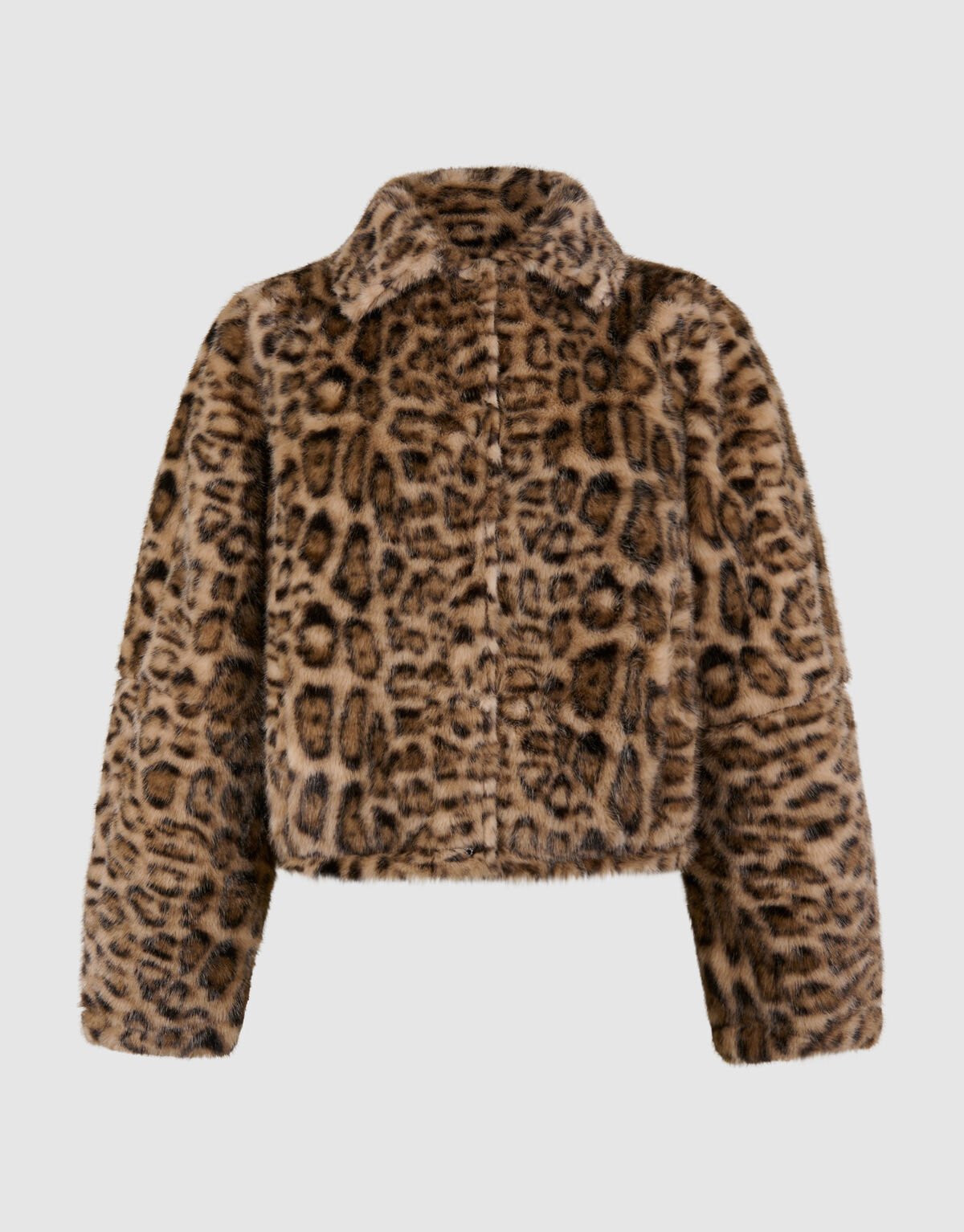 Reversible Jaguar Jack Bruin/Zwart SHOEBY WOMEN