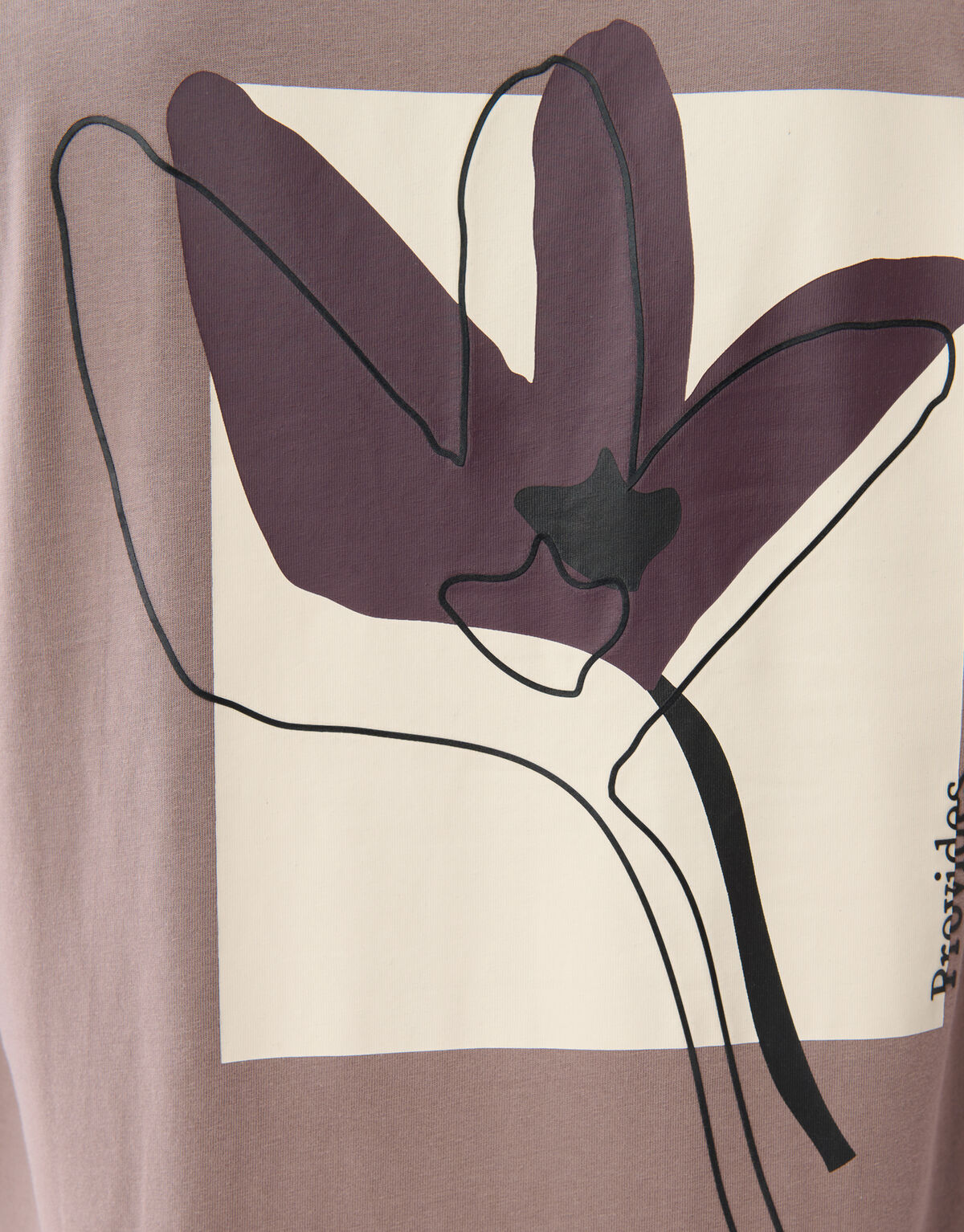 Flower T-shirt Lichtbruin SHOEBY MEN
