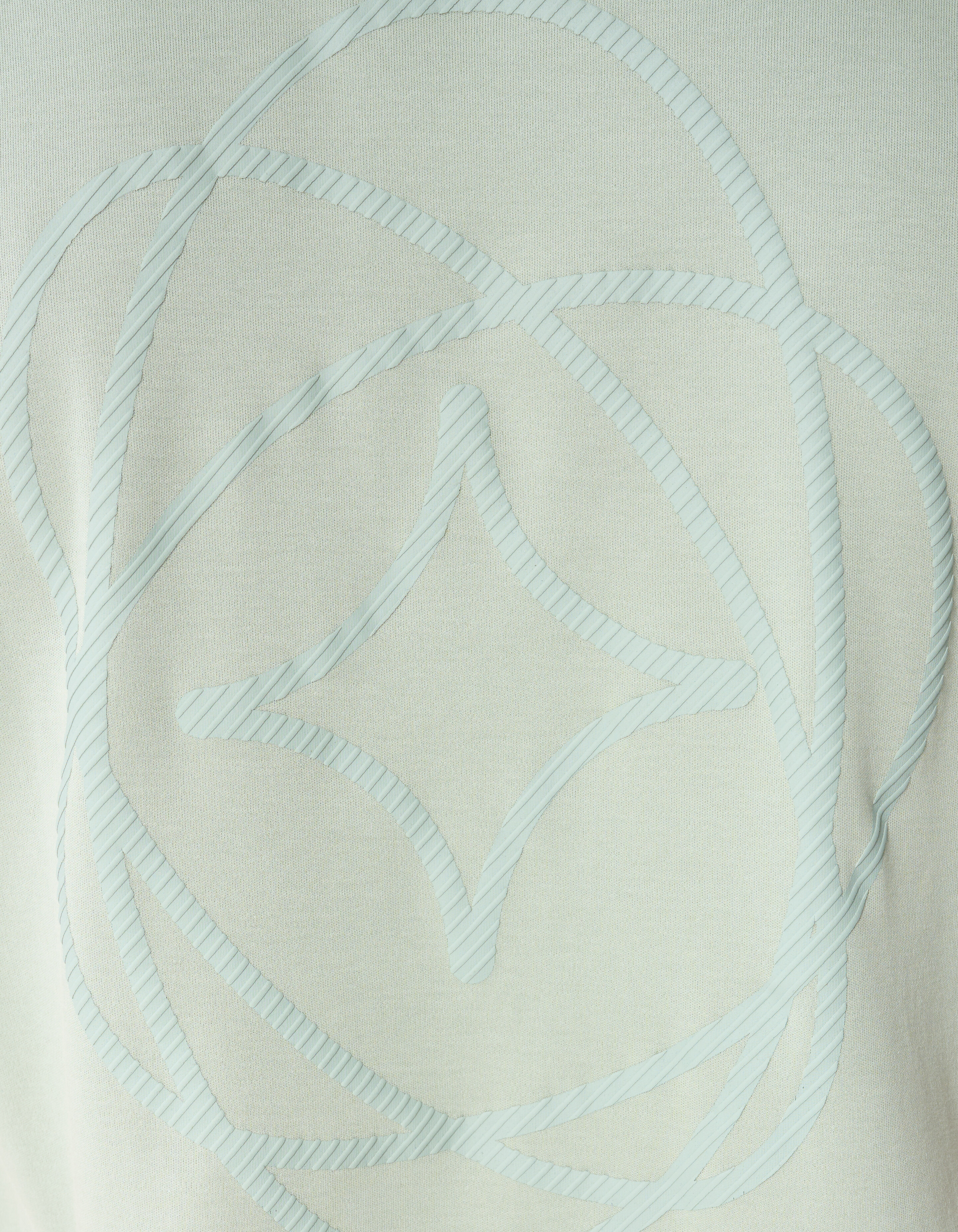 Graphic Spark T-shirt Lichtgroen SHOEBY MEN