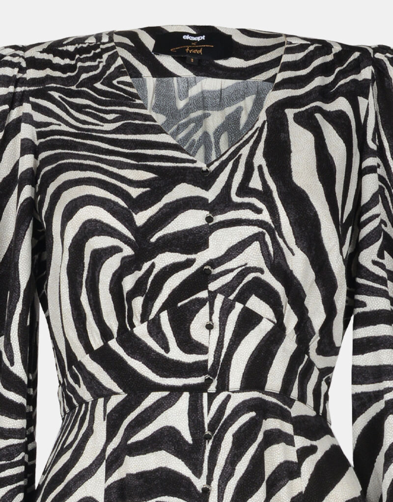 Pippa Zebra Jurk