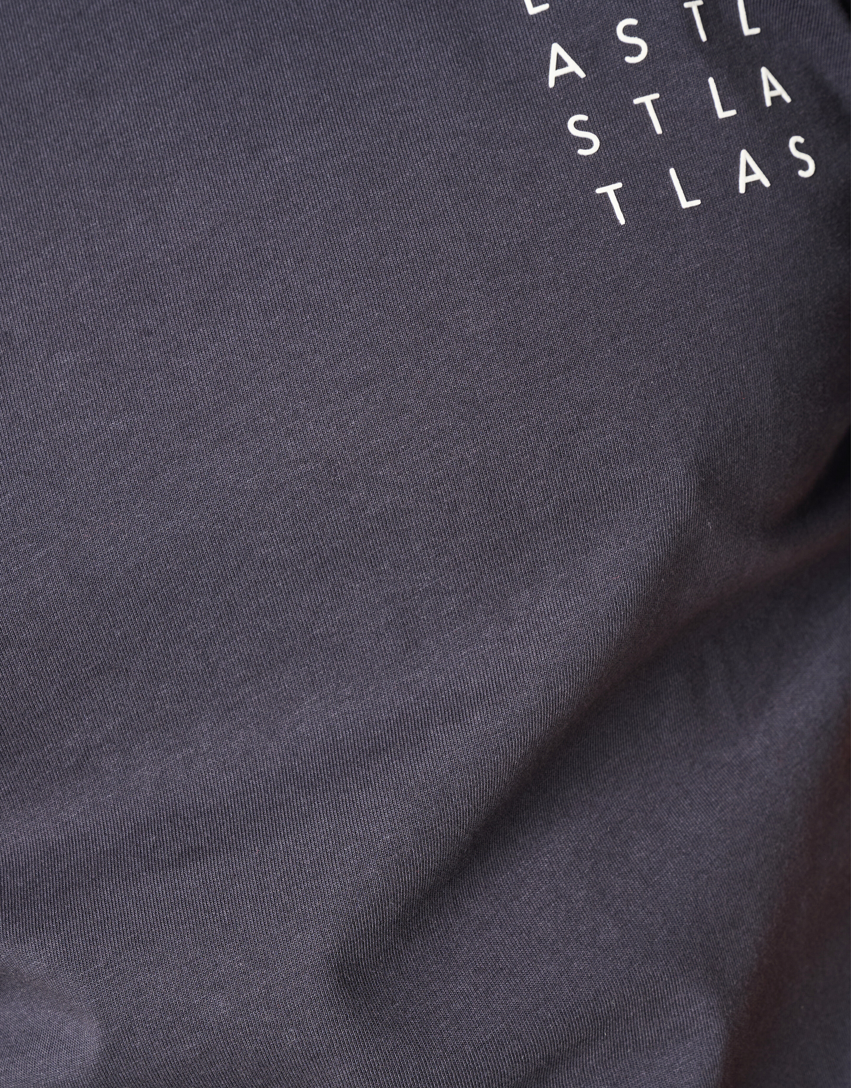 Artwork T-shirt Donkergrijs SHOEBY MEN