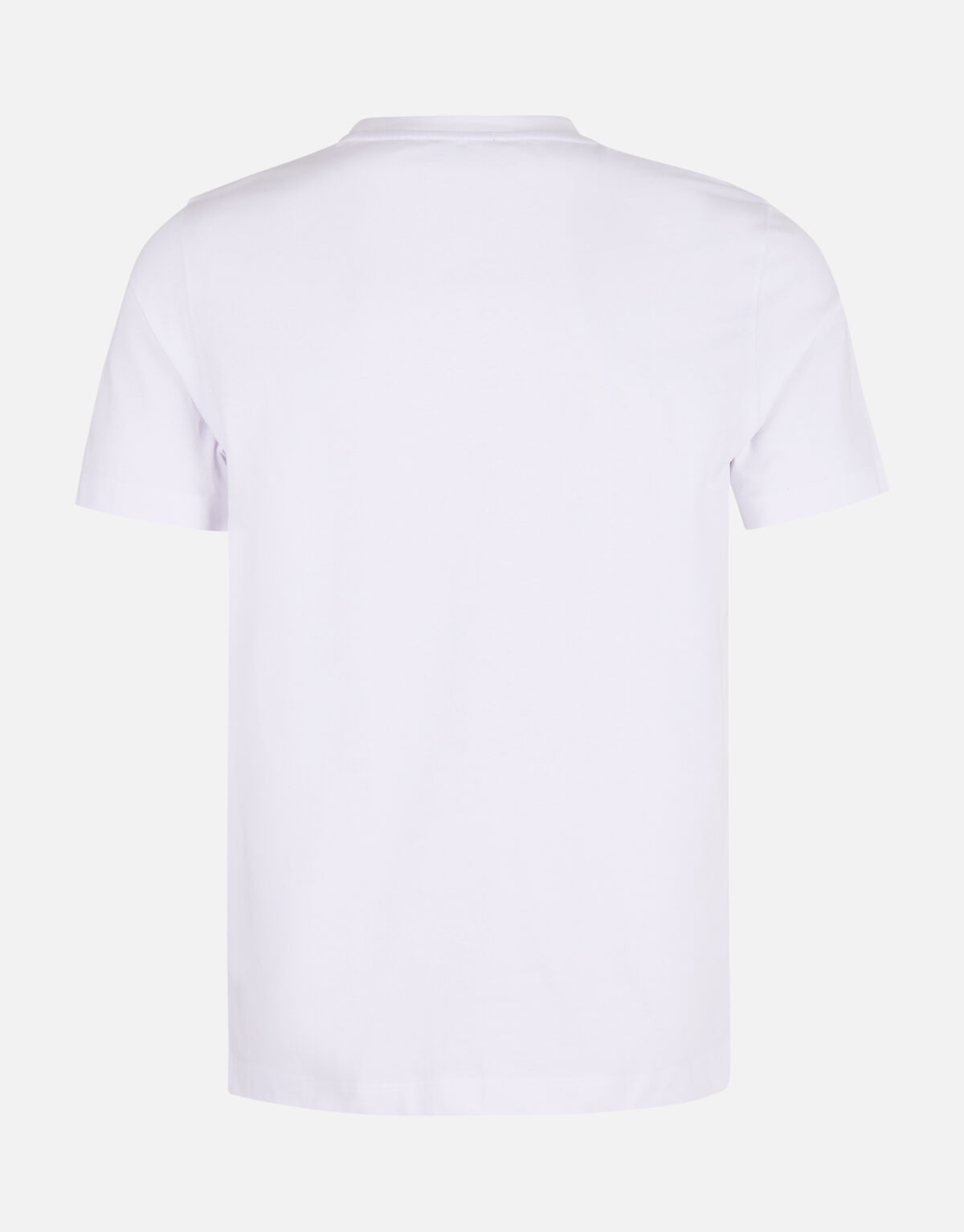 Tekst T-shirt Wit SHOEBY MEN