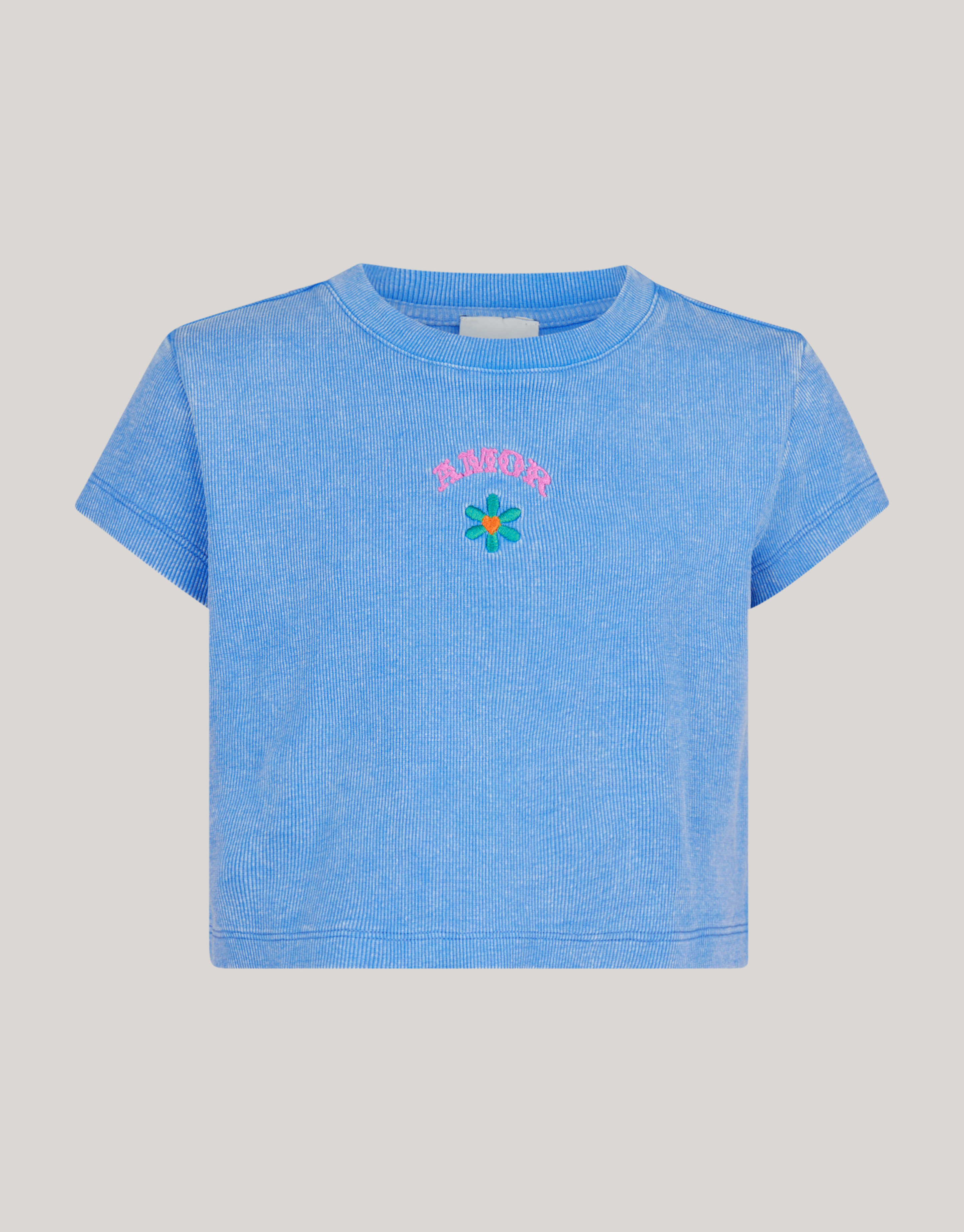 Embroidery Crop Top Blauw SHOEBY GIRLS