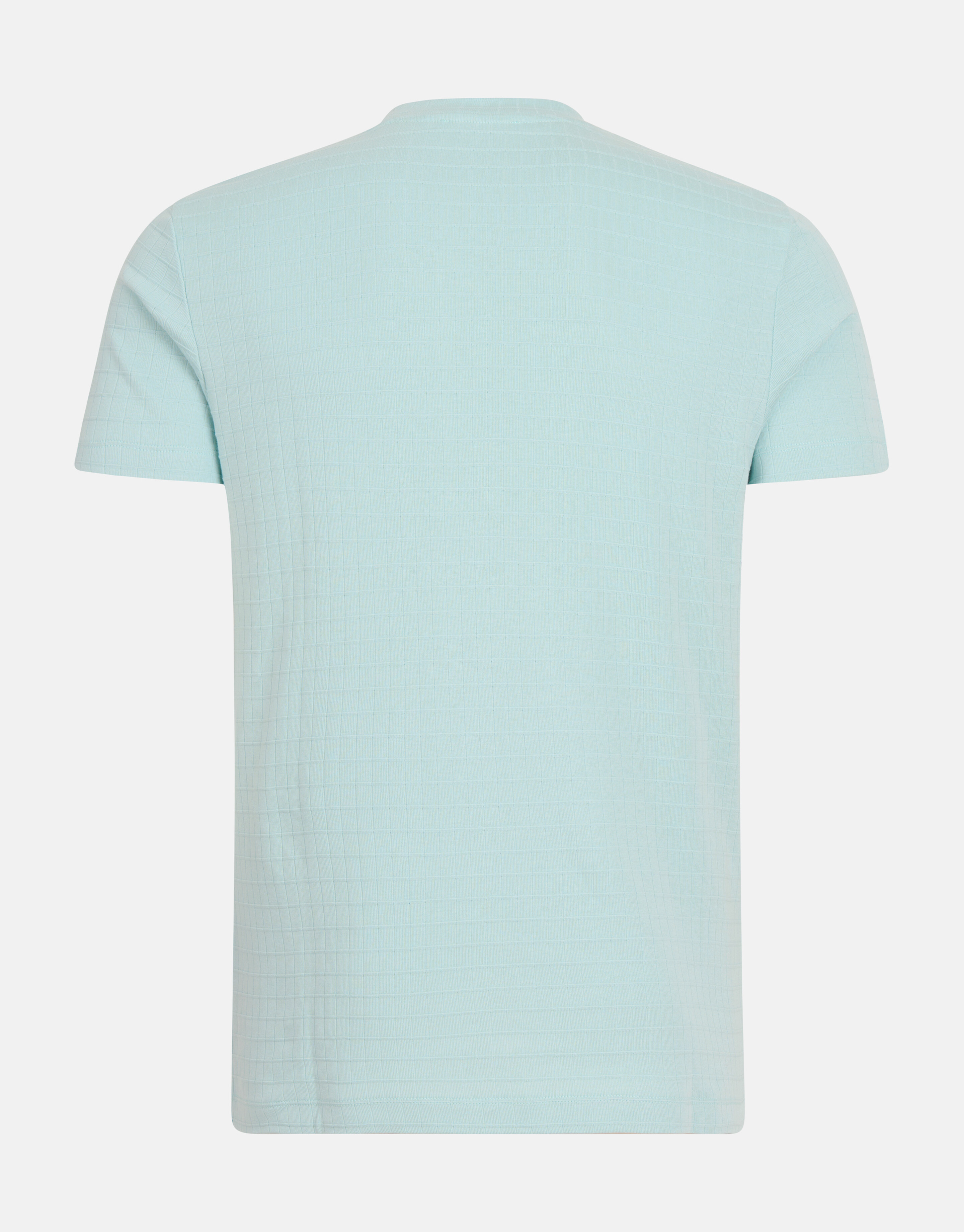 Structuur T-shirt Lichtgroen SHOEBY MEN