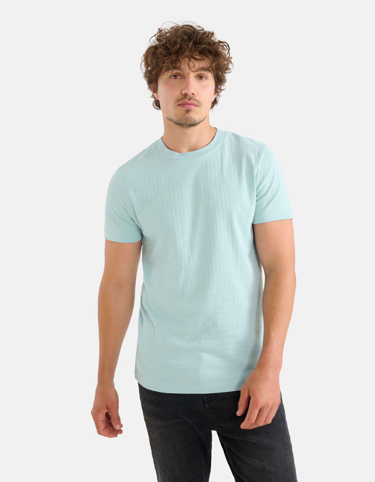 Structuur T-shirt Lichtgroen SHOEBY MEN