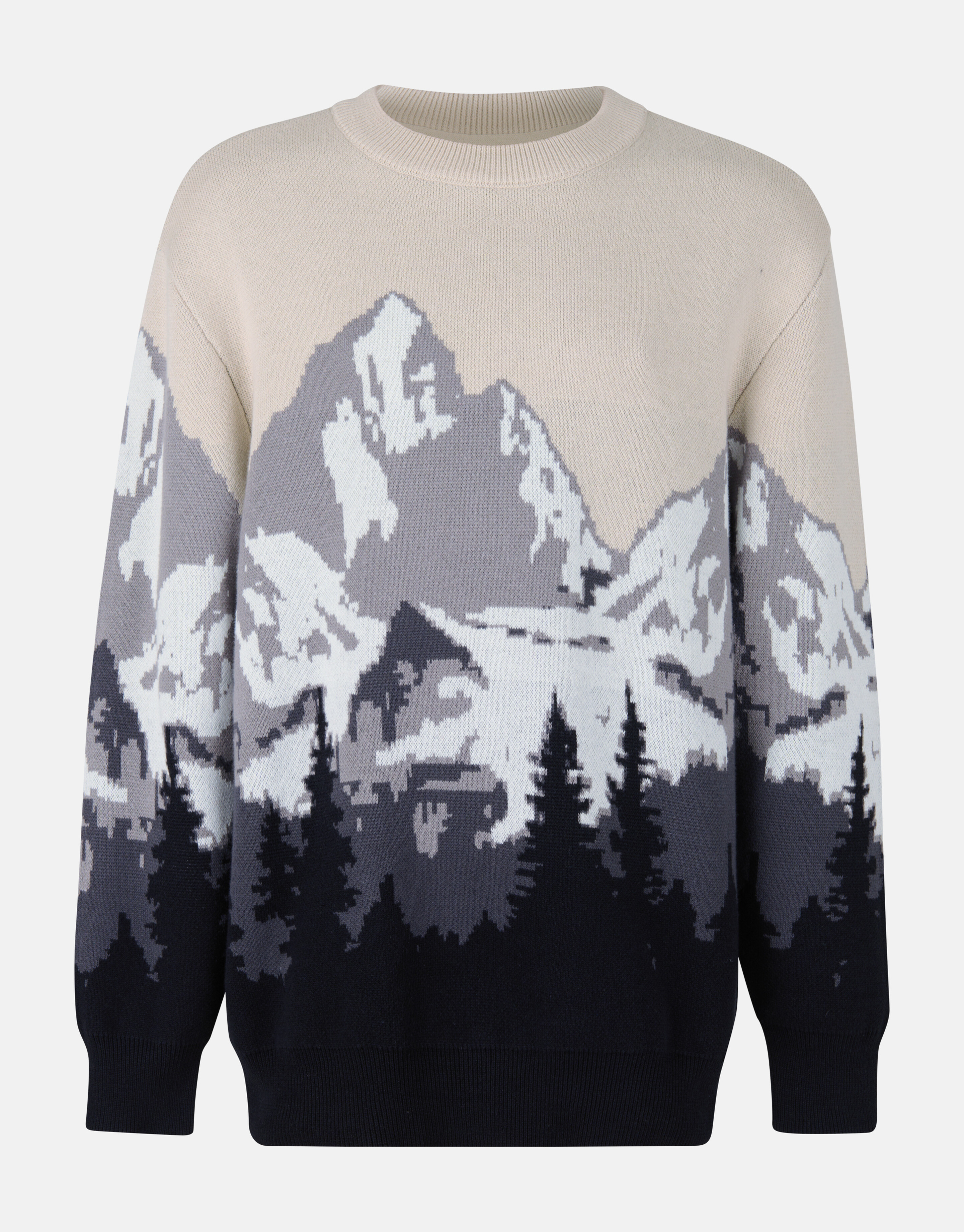 Landschap Trui Grijs SHOEBY BOYS