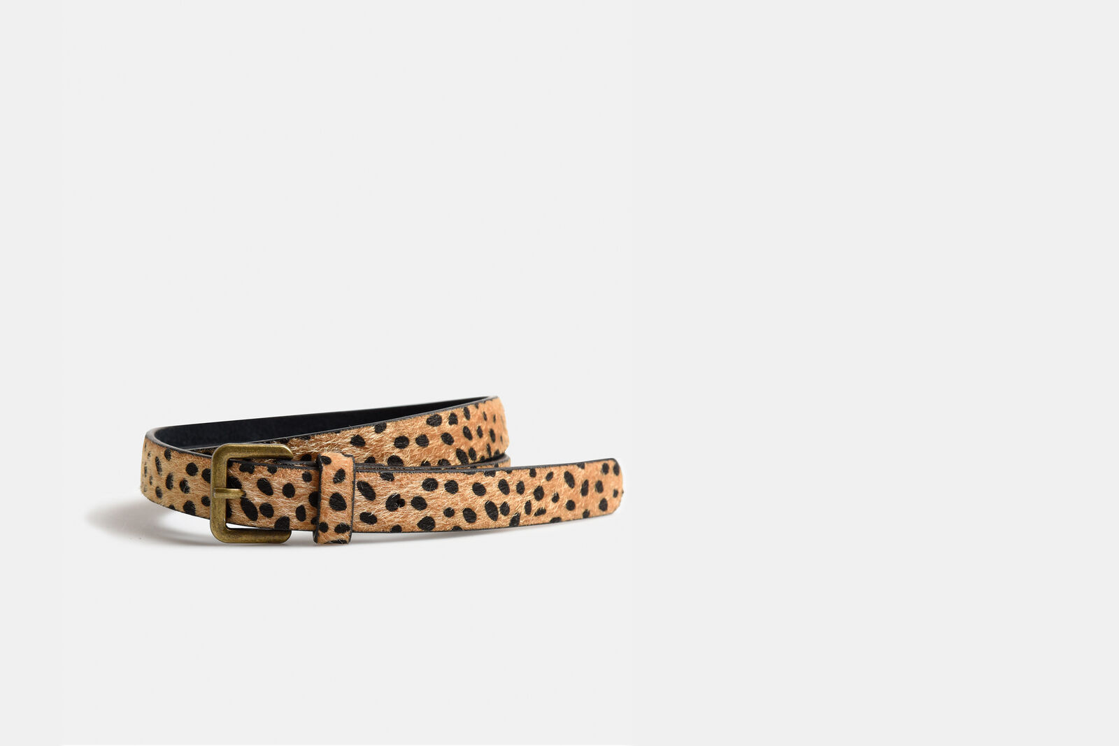 Hairy Dot Riem