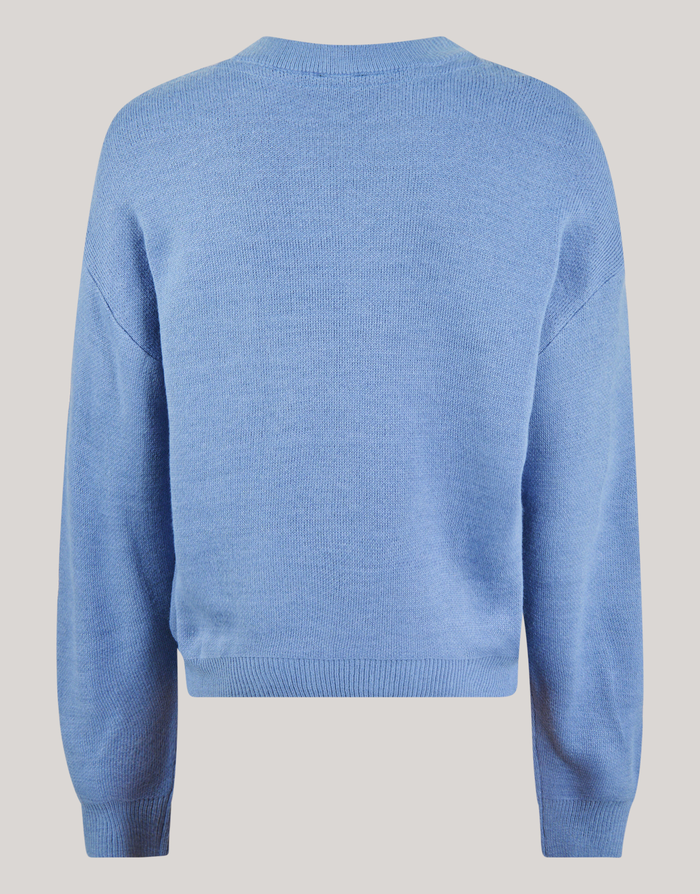 Artwork Trui Blauw SHOEBY BOYS