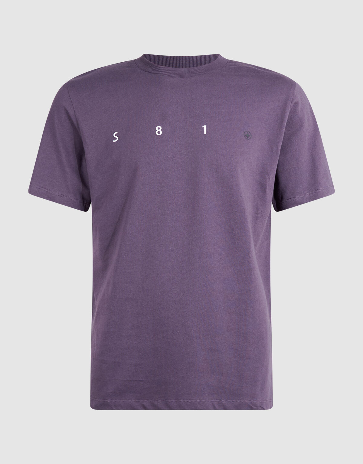 Minimal Artwork T-shirt Paars SHOEBY MEN